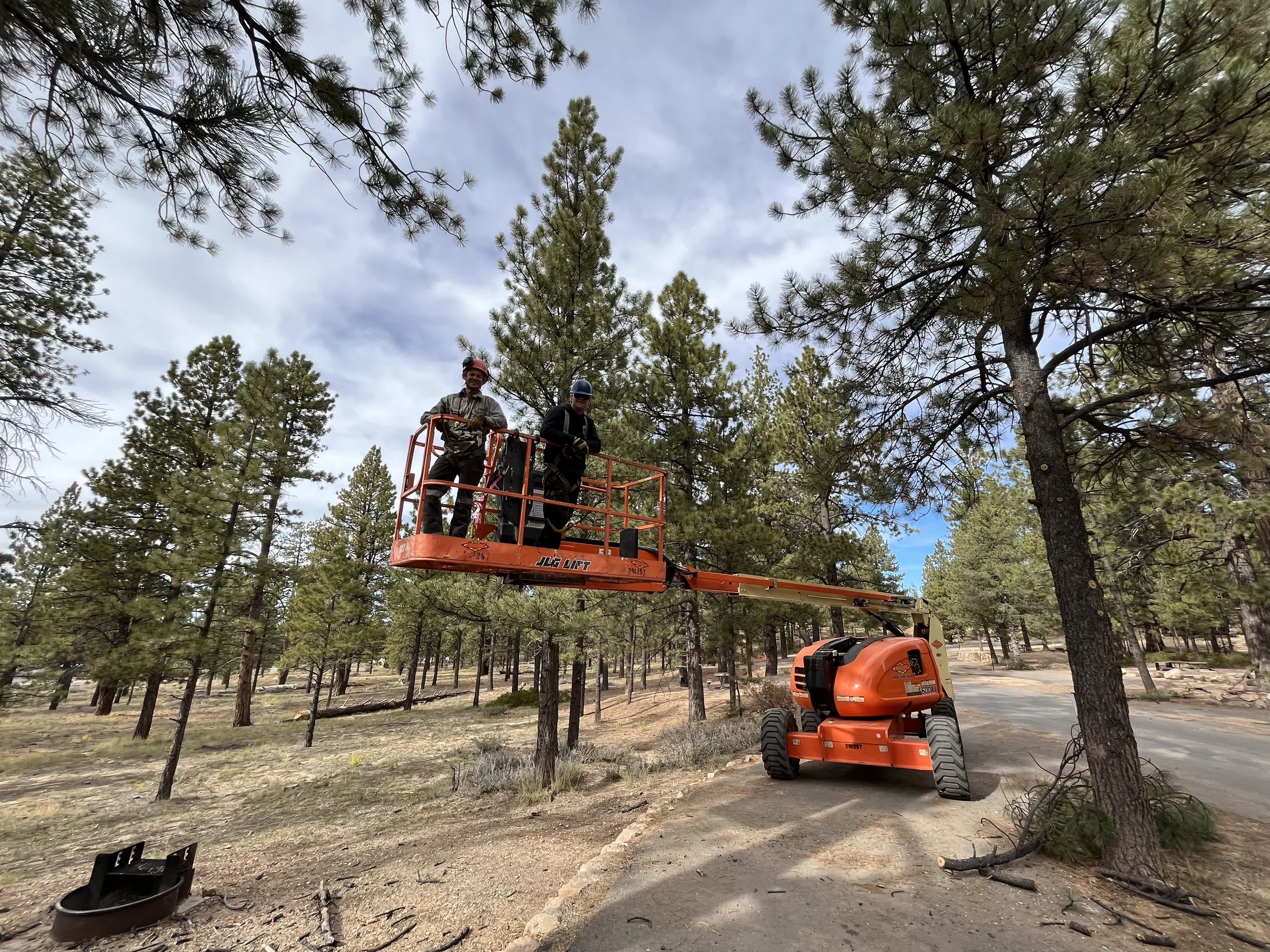 Arbor crew workers in aerial lift among trees