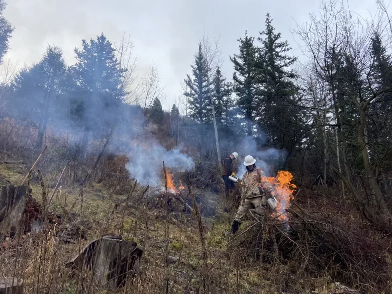 crew lighting piles on fires in the park city utah mountains