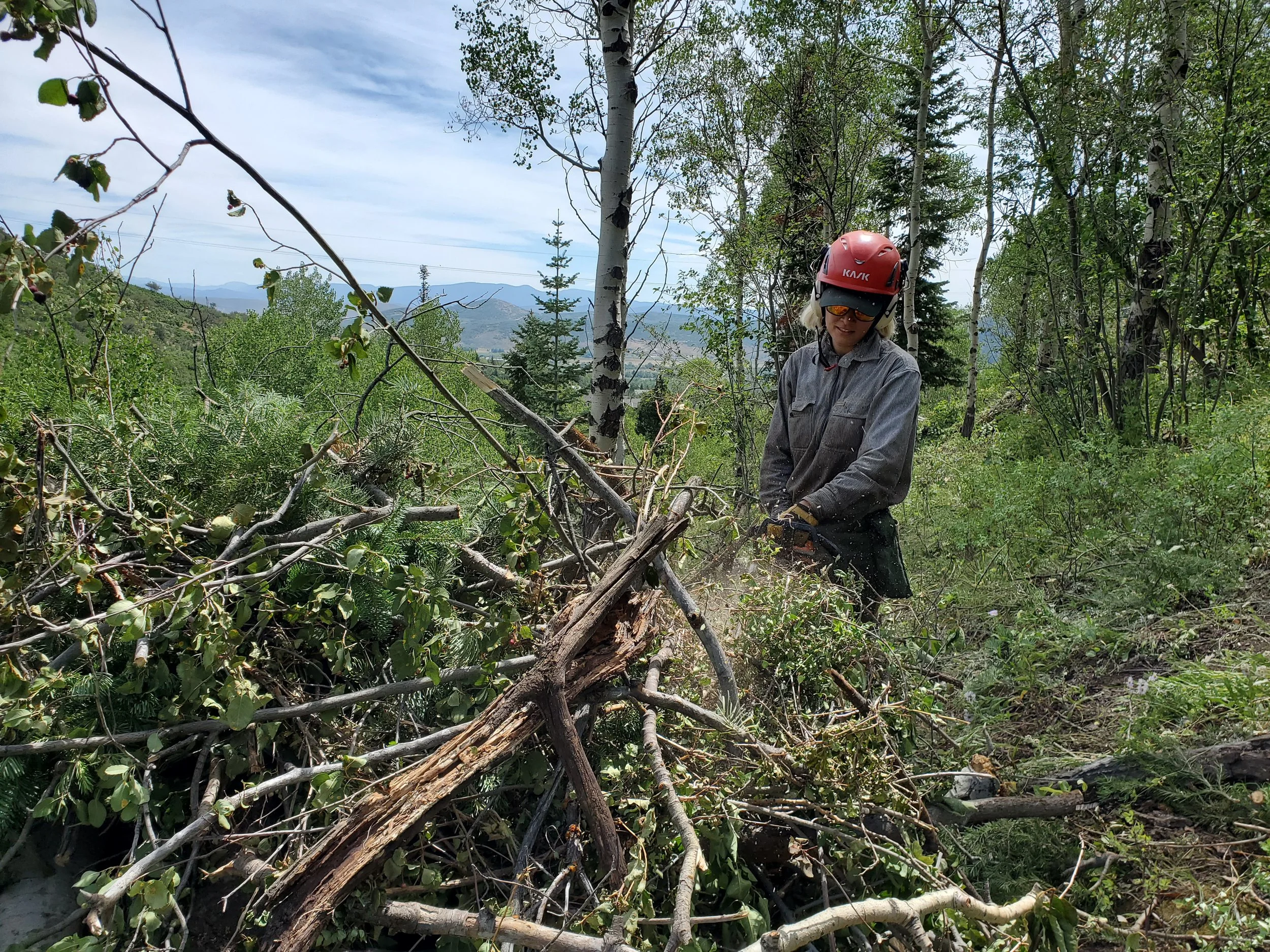 Crew - Giving a Pile a Haircut.jpg