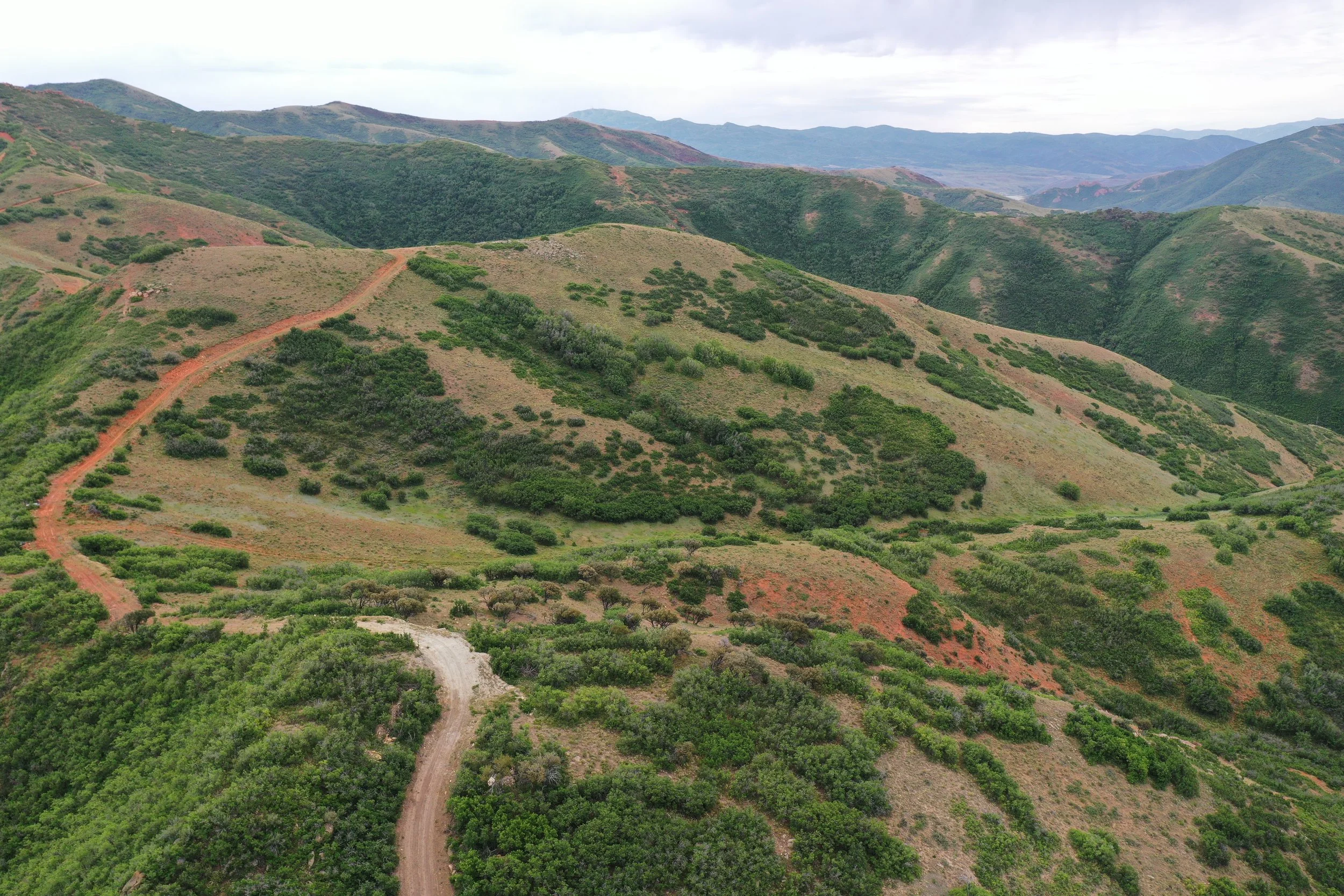 aerial photo of landscape with rolling mountains and a dirt road