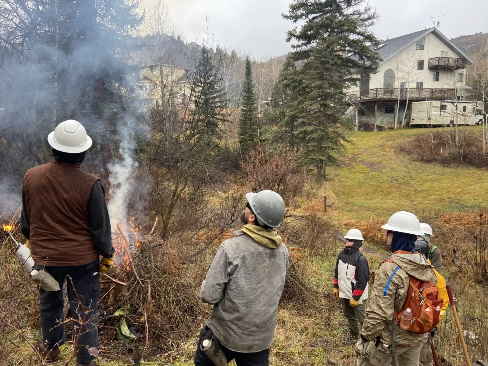 alpine forestry pile burning