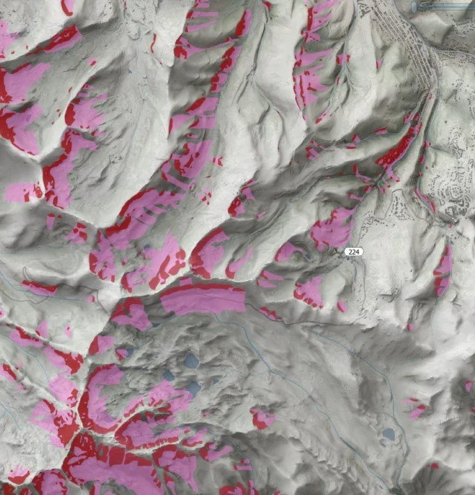 Avalanche Hazard Mapping alpine forestry