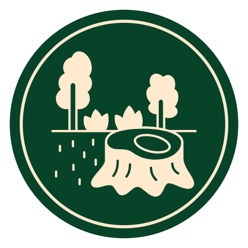 An outdoor scene with two trees, a stab fallen, and some plants in the background.