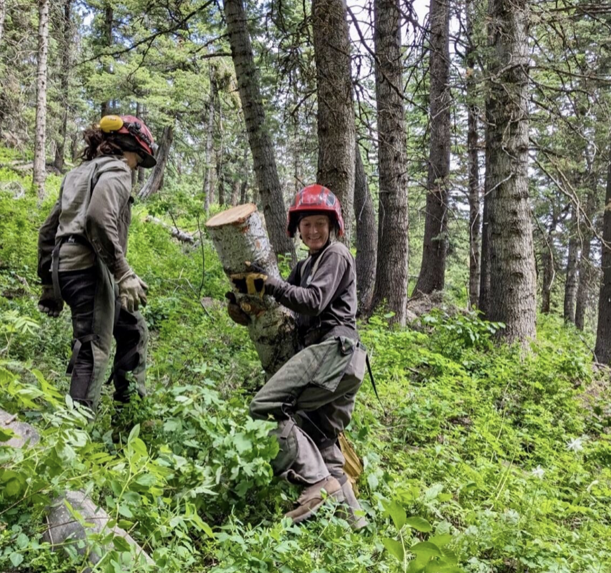 Screenshot 2025-03-26 at 5.39.24 PM.png