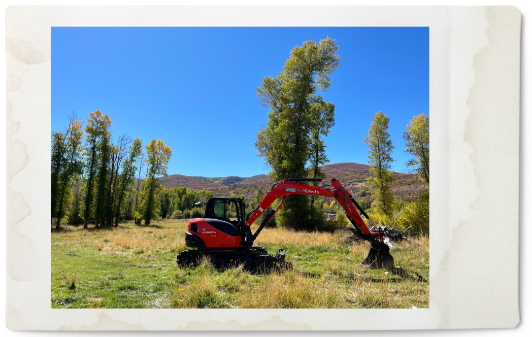 A red Kubota mini excavator working in a grassy field with trees and mountains in the background under a clear blue sky.