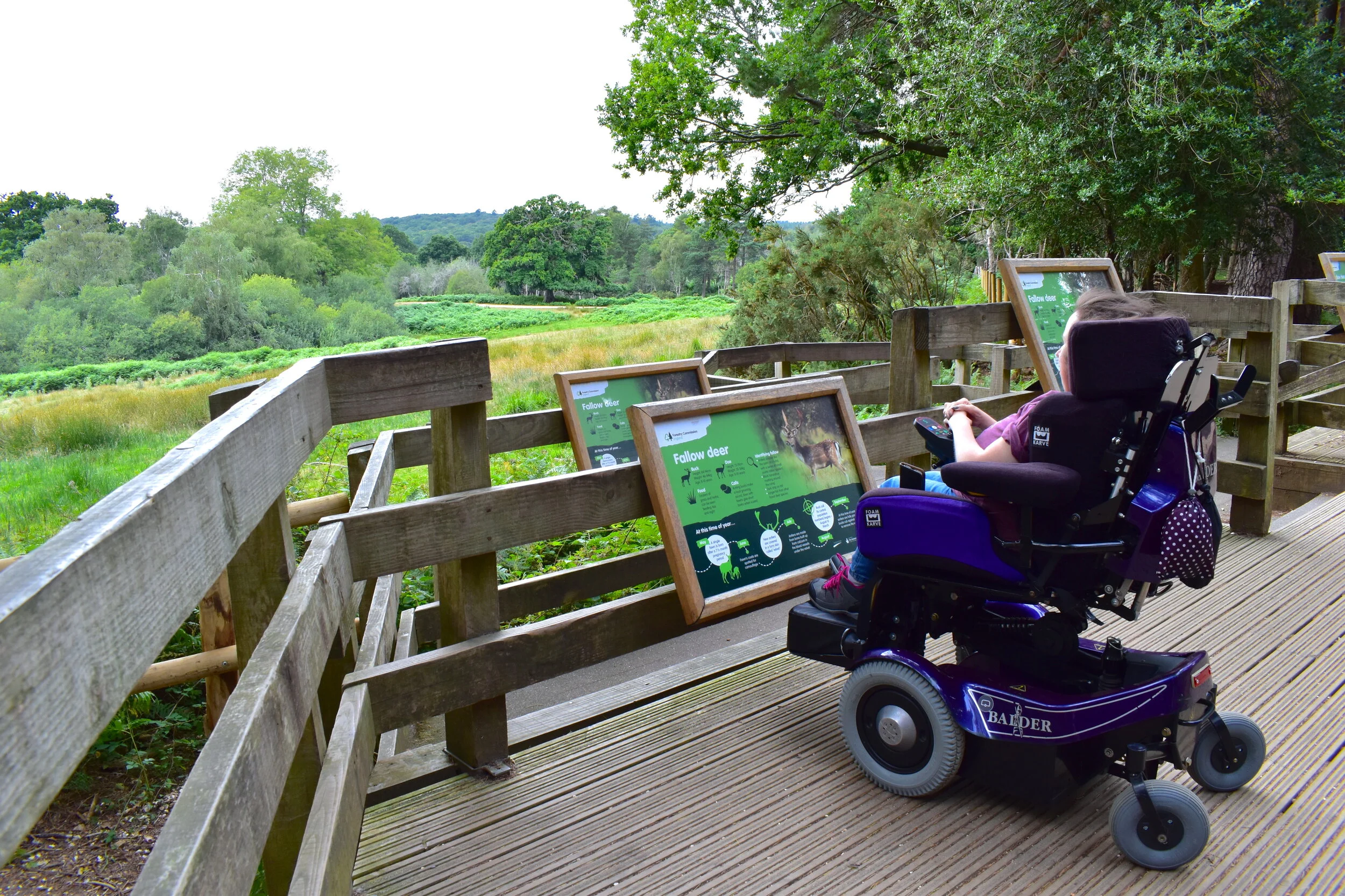 Top 3 Wheelchair Accessible Walking Routes In The New Forest