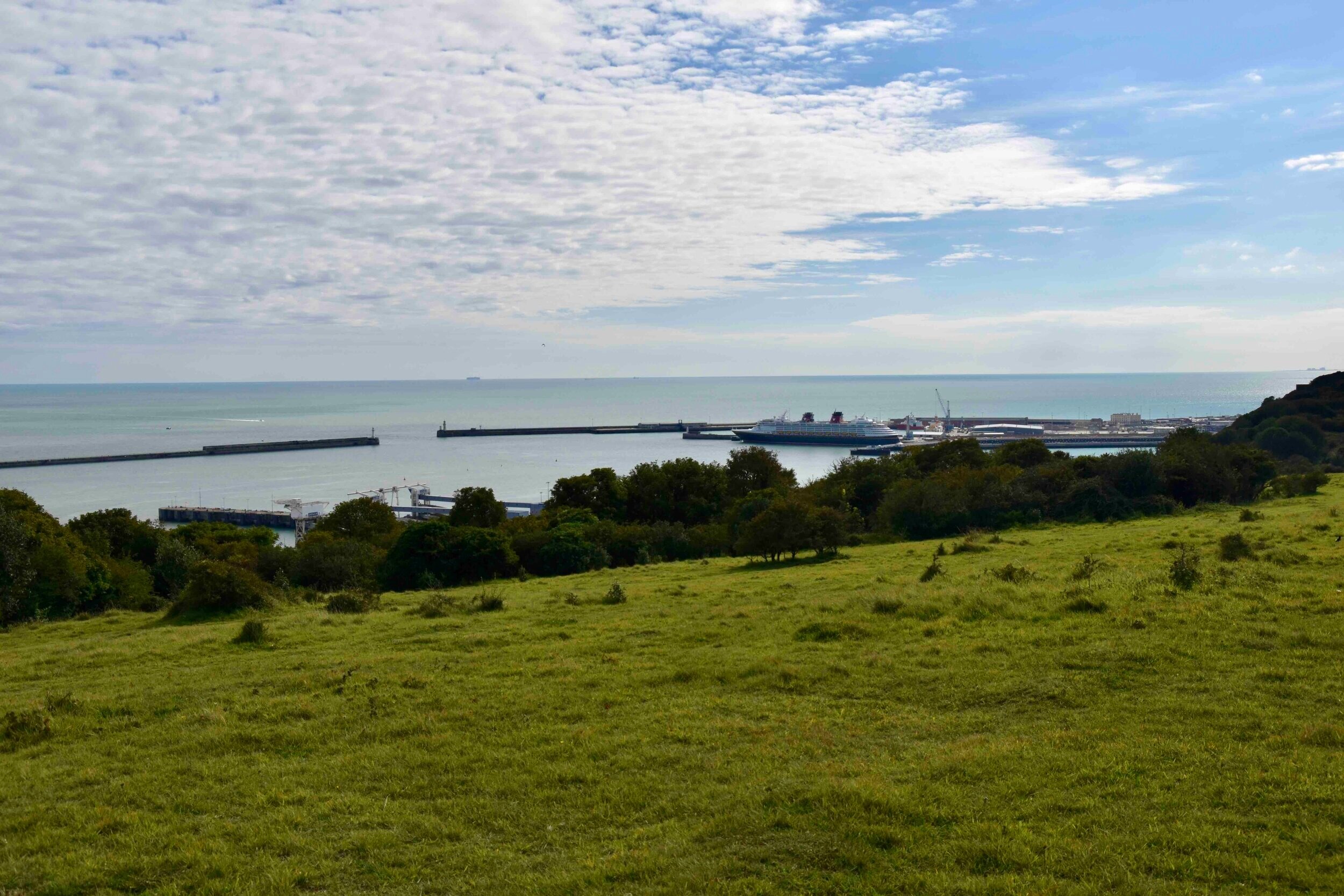Dover Port from Fox Hill Down