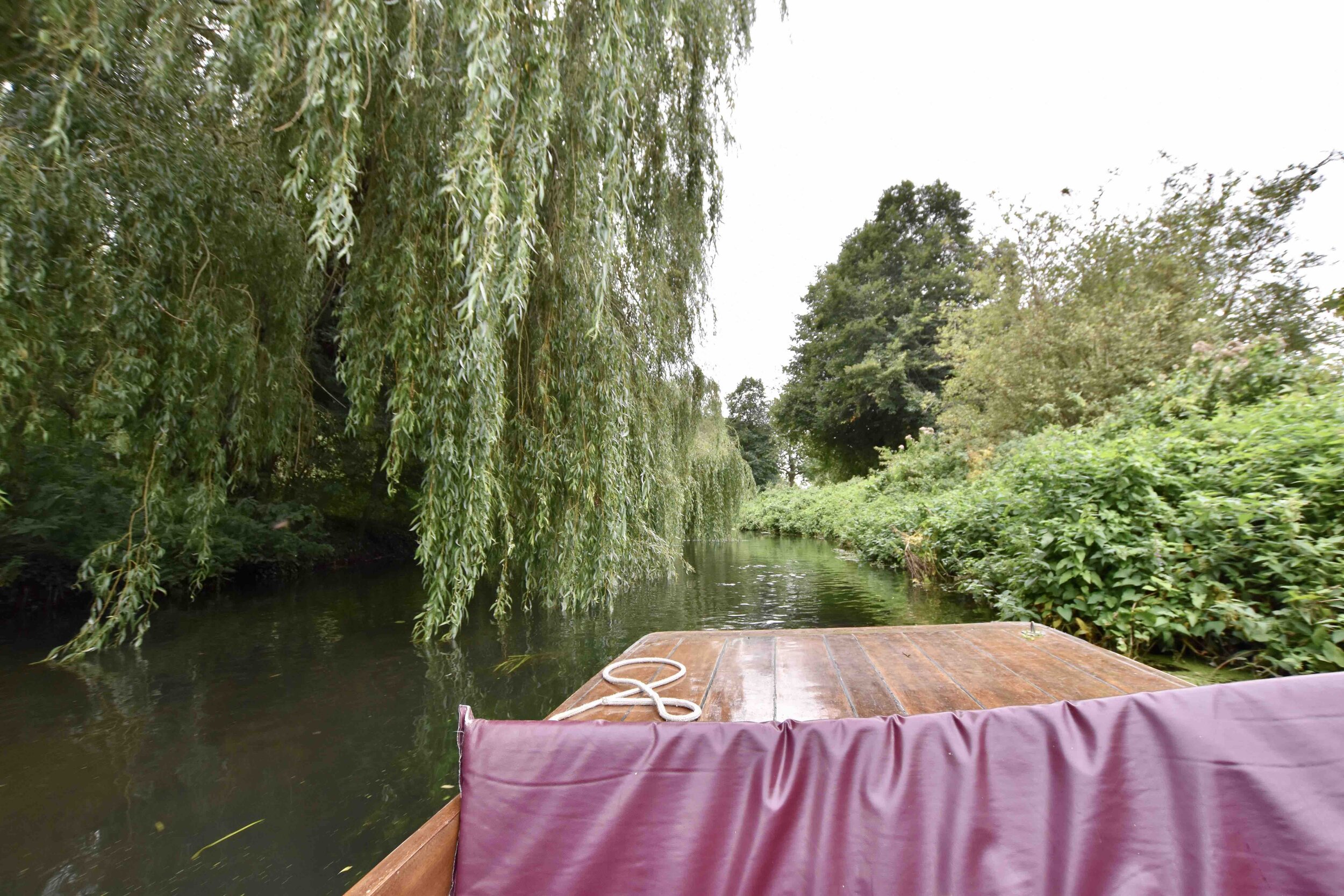 Punting in Canterbury along the Great Stour.