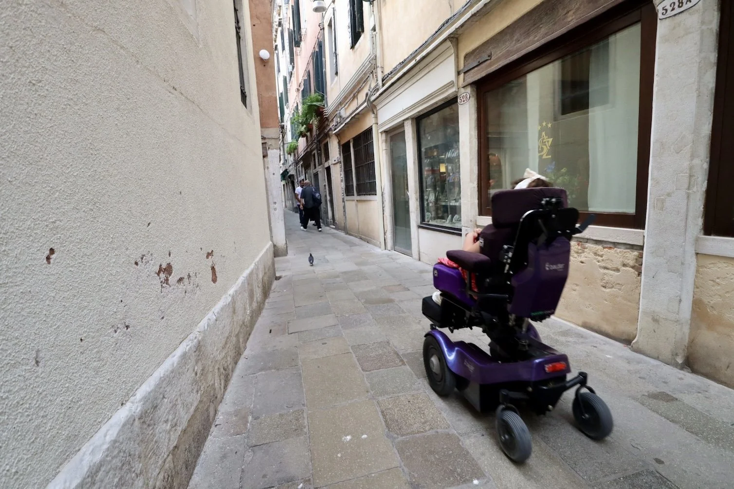 Wheelchair accessible Venice