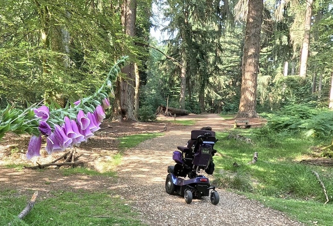  Karla in her powerchair on the Tall Trees Trail wheelchair accessible walk in the New Forest 