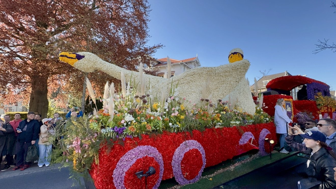 The Bloemencorso Bollenstreek flower parade, passing through Hillegom in the Netherlands