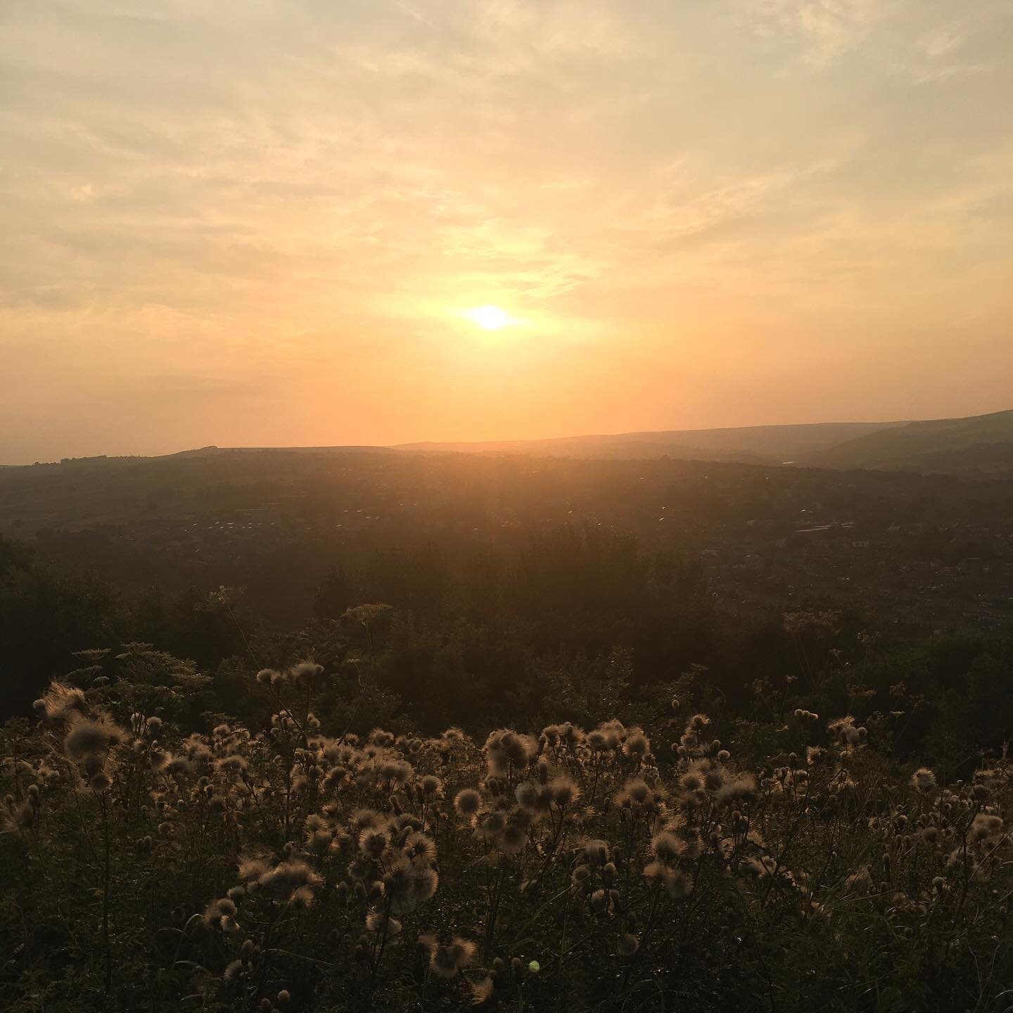 N E W  O F F E R I N G.. 
🌾
E m e r g i n g  a n d  U n f o l d i n g 🌾
Really excited to share the details of this new 4 week course @unityyogasheffield 
As we emerge and unfold from the depths of isolation, we will gather for a hearty 90 minute p