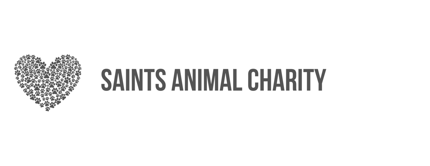 SAINTs Animal Charity