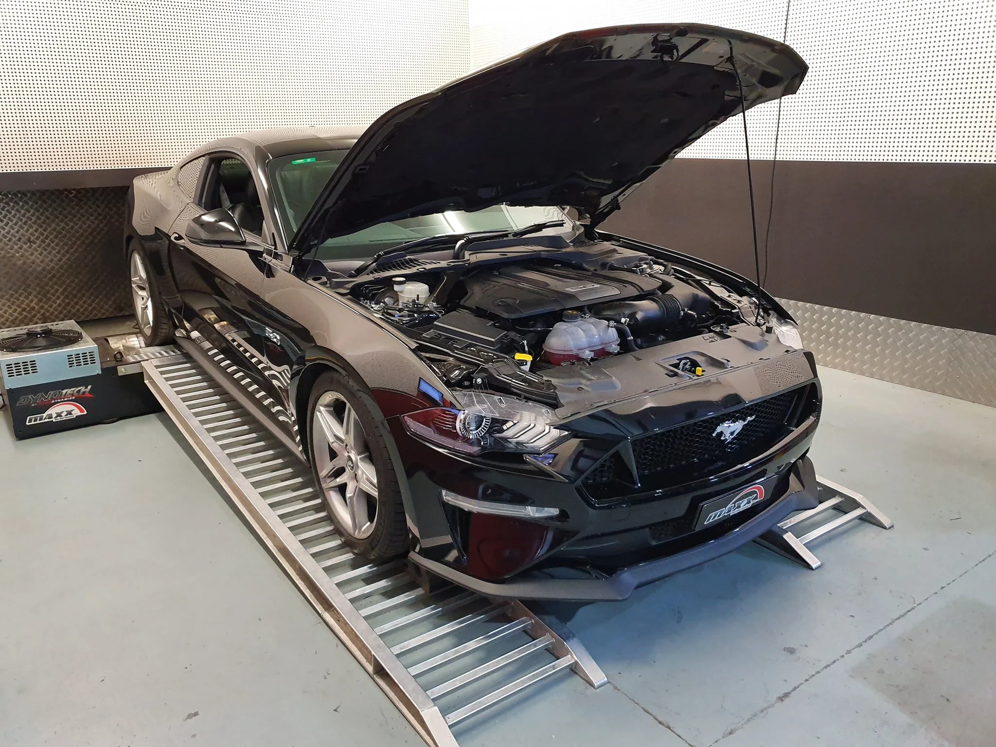 2019mustang.jpg