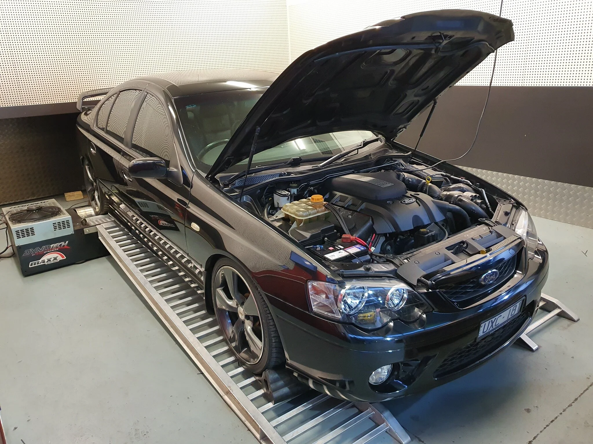 xr81.jpg