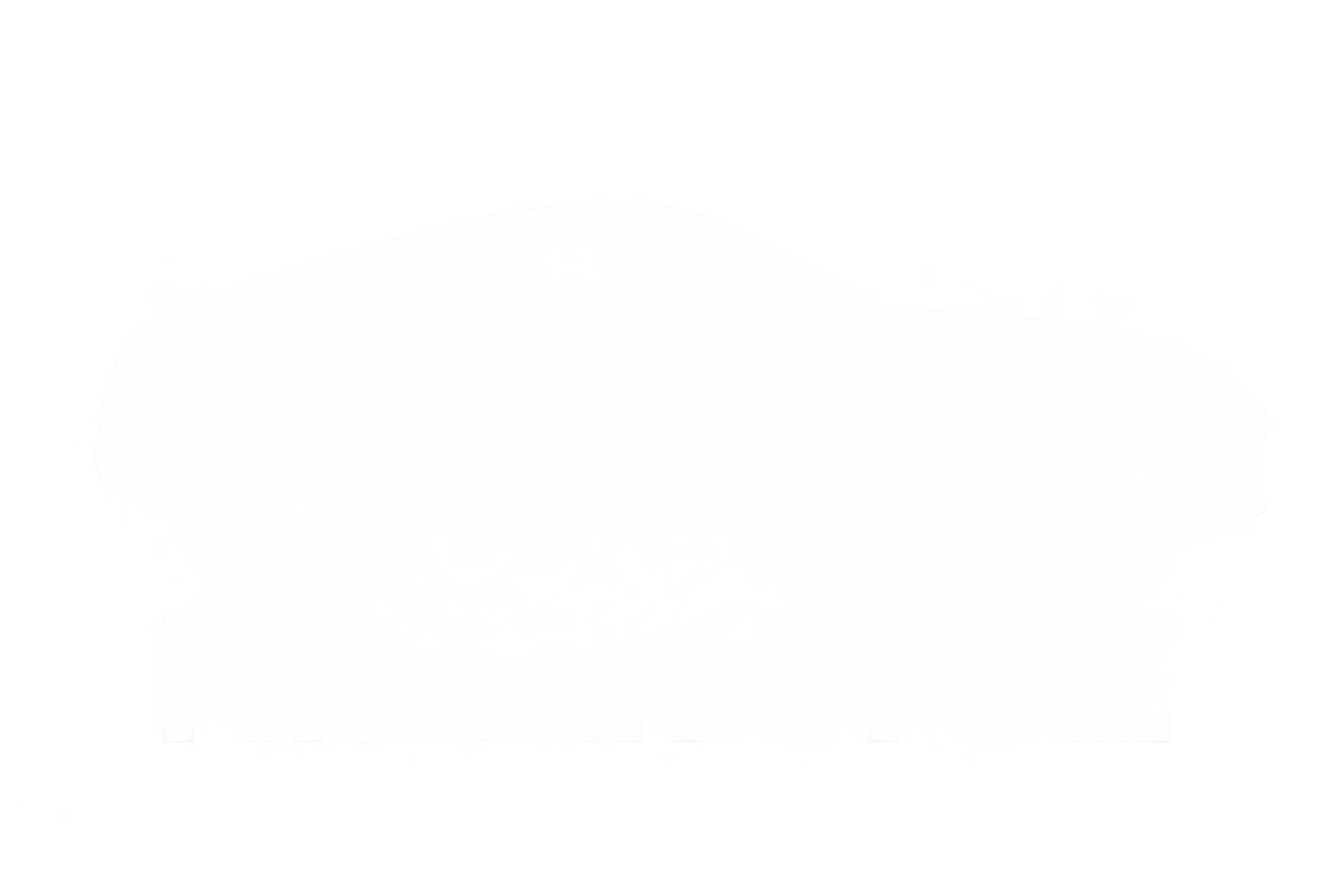 Nissan 370Z Performance Packages