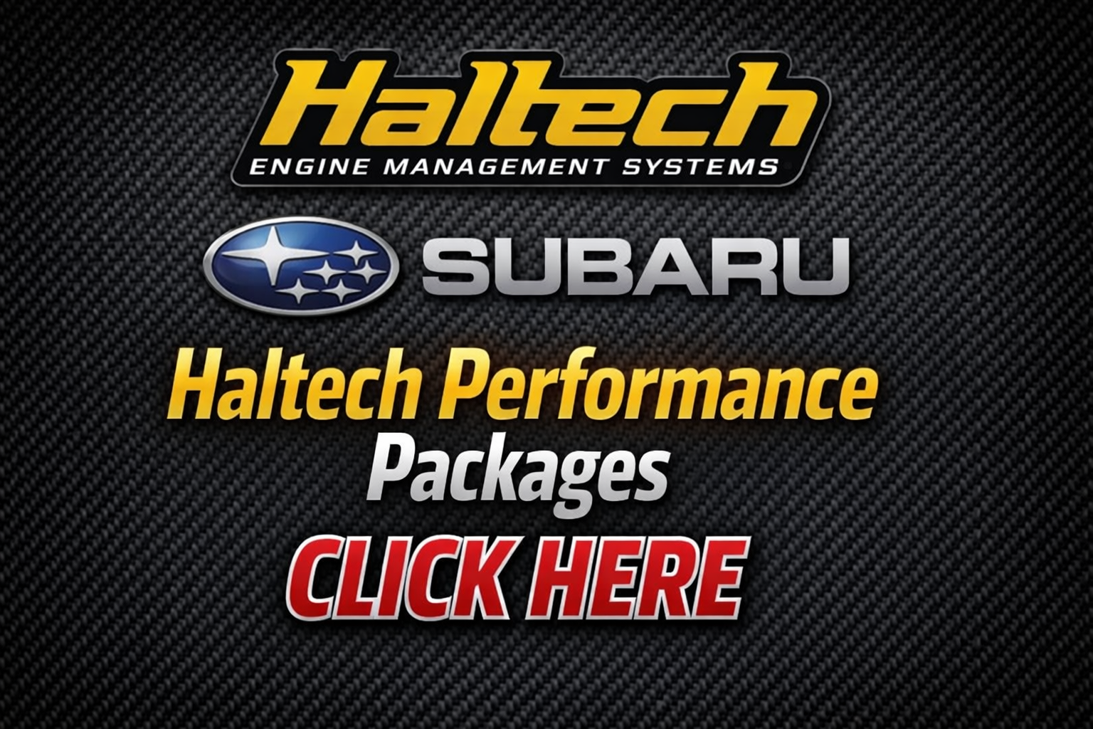 Subaru Haltech performance packages