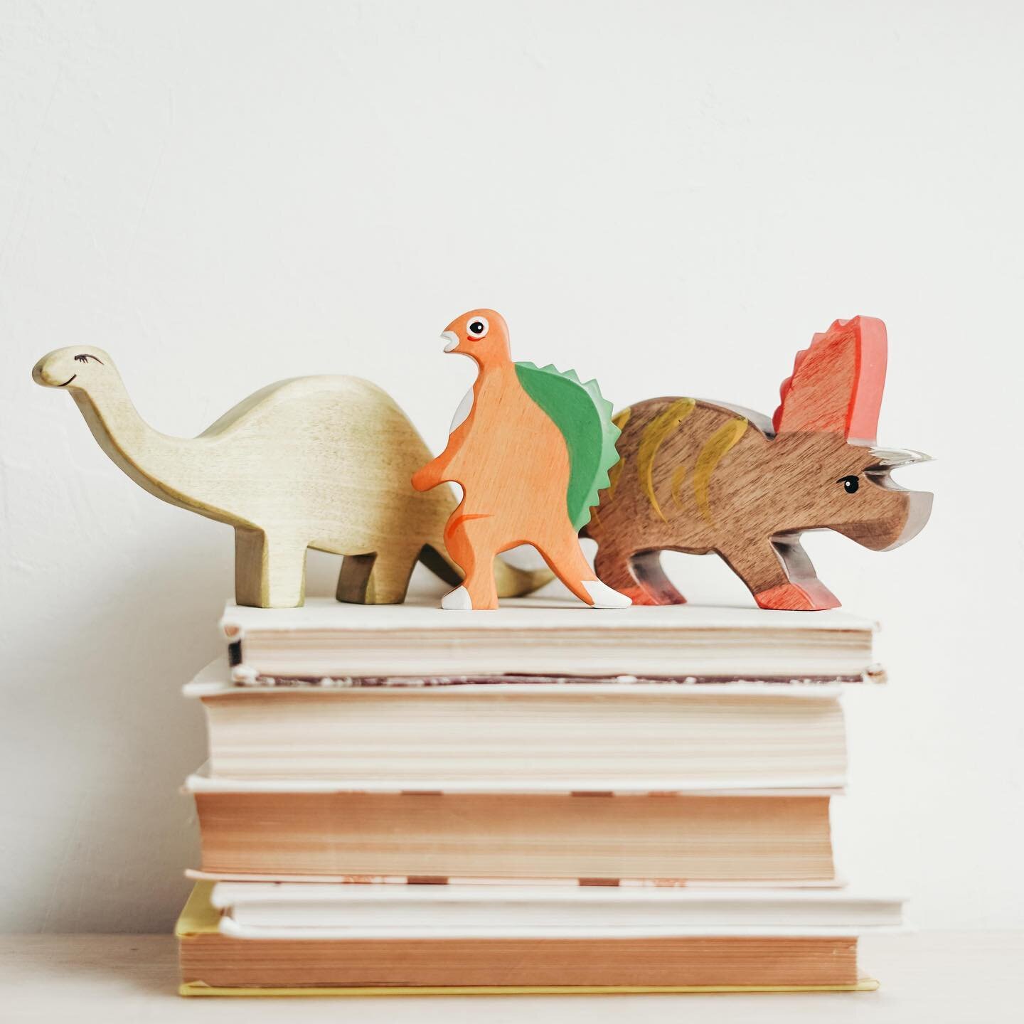 We love dinosaurs! From books like &ldquo;Dinosaurumpus&rdquo; to &ldquo;Dinosnores&rdquo;, everyone loves stories and pretend play on these fascinating creatures. 

But if you&rsquo;re looking to create a meaningful, emergent curriculum for young ch