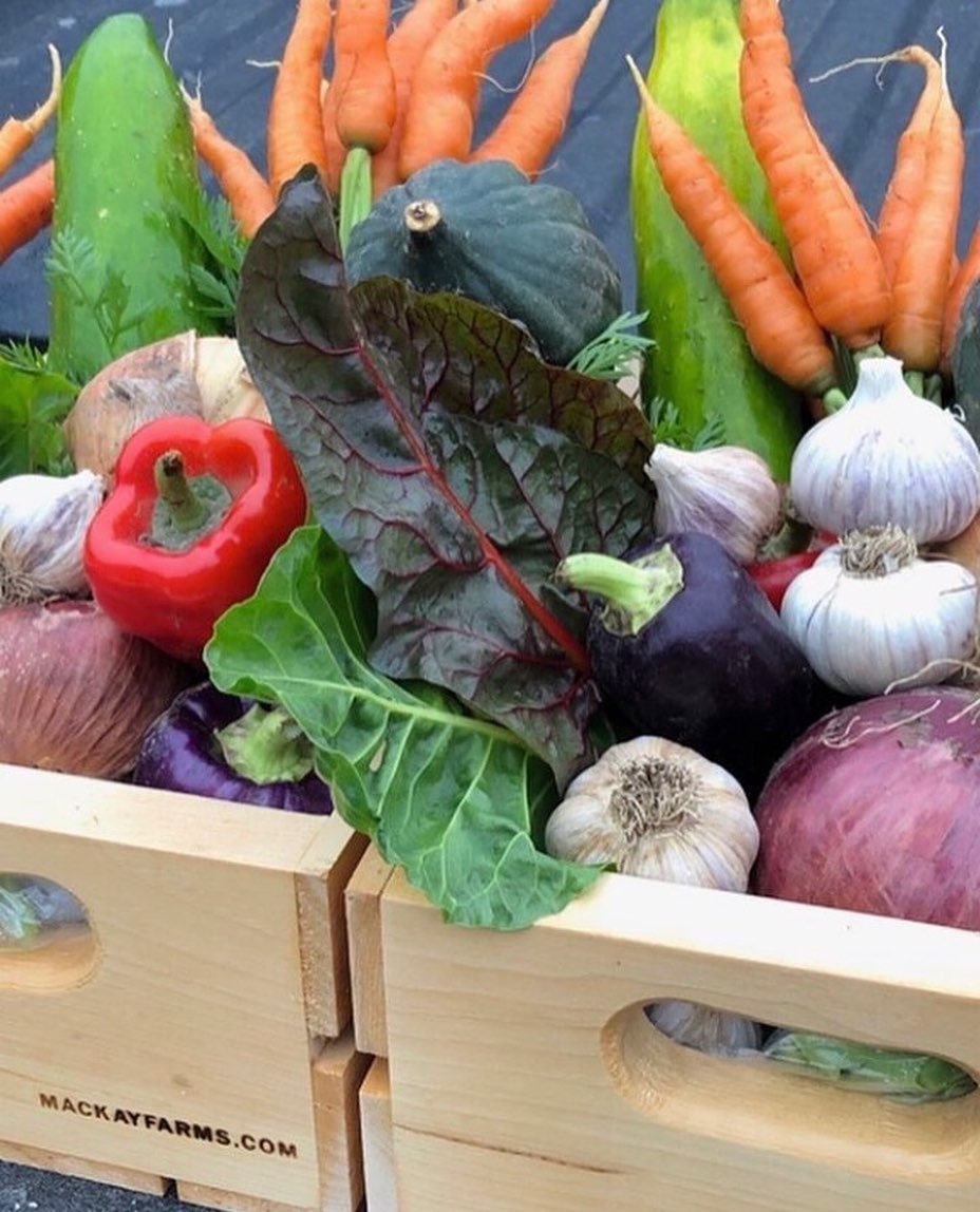 Our local farmers @mackayfarms have a handful of CSA share spots left to fill ! Enjoy a variety of fresh produce and pick it up while enjoying your walk through Bissell park and shopping at the Elora farmers market every Saturday starting May 4th. 

