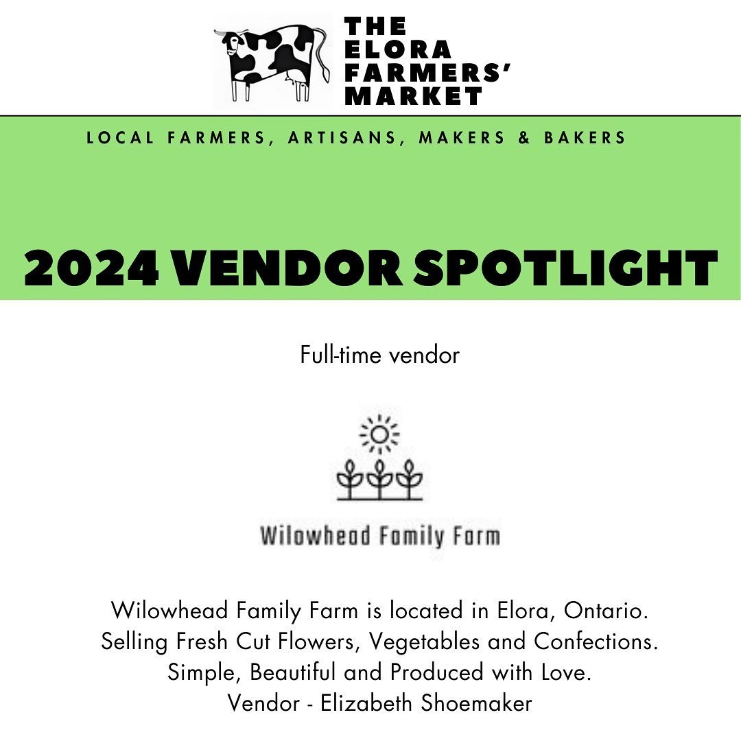 ✨ VENDOR SPOTLIGHT ✨