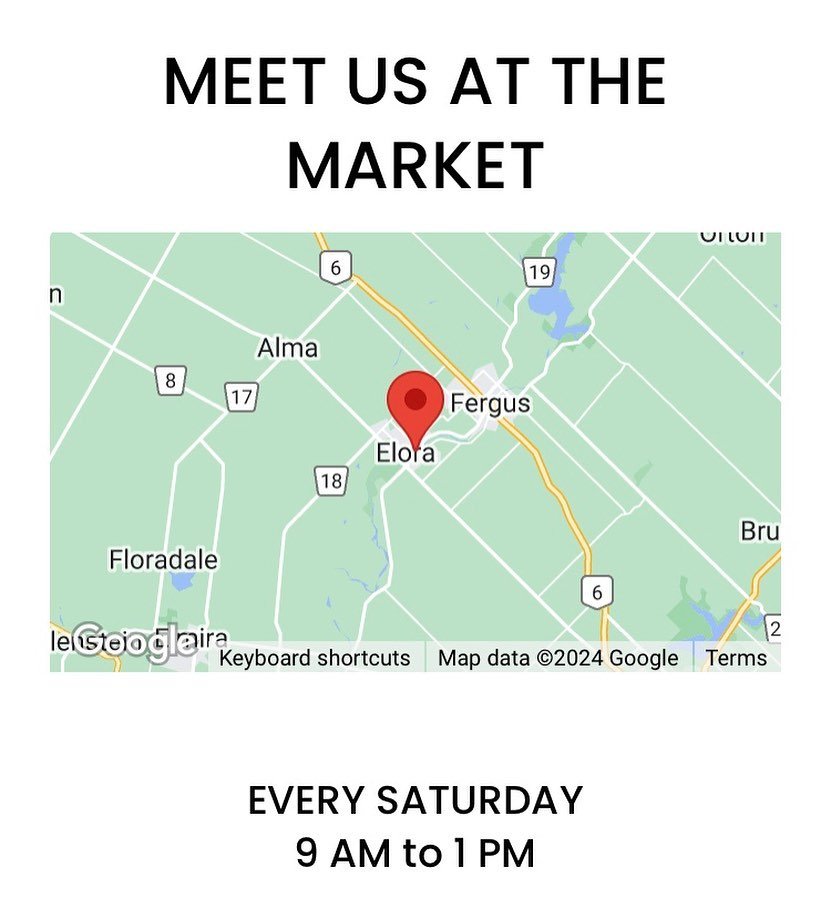 Check out our website ( link in bio ) for a map of exactly how to find the market ! 

While handing out posters for our market, I was asked sooo many times if we will be at a different location this year. So, Just a reminder we ARE at 📍BISSELL PARK 