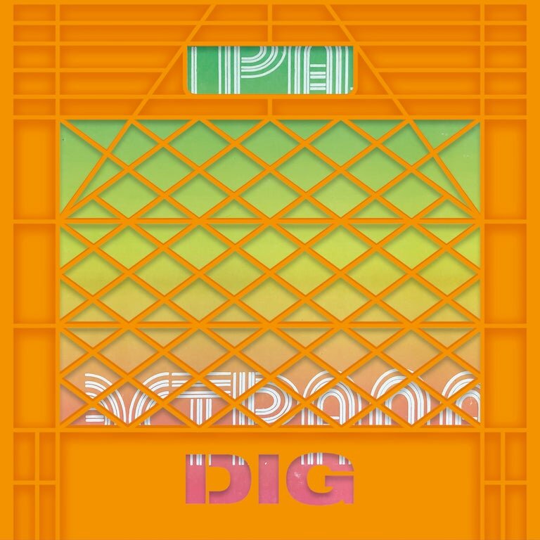 DIG_5_FC.jpeg