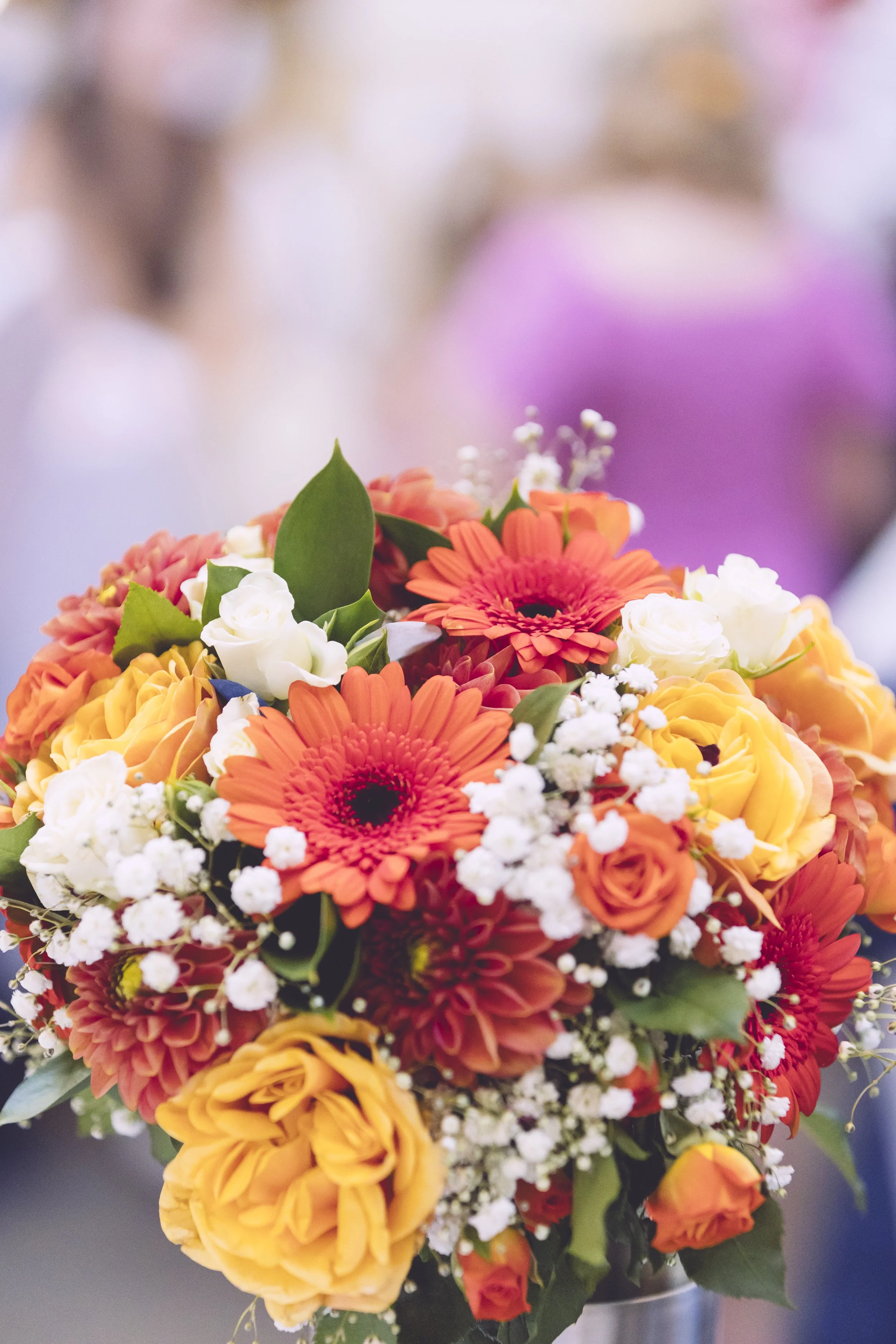 Dan Roads Photography 