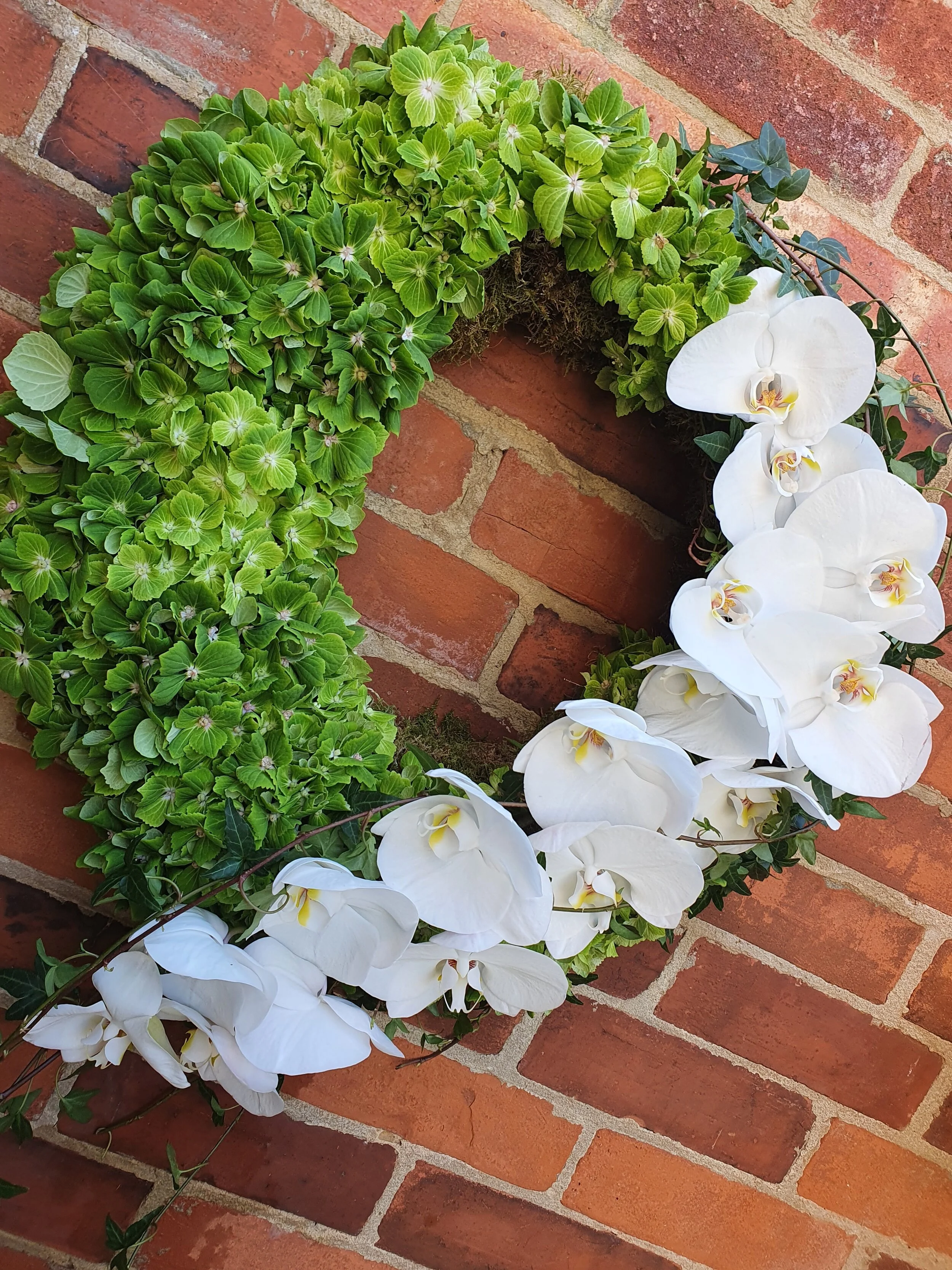 20200527_101303.jpg