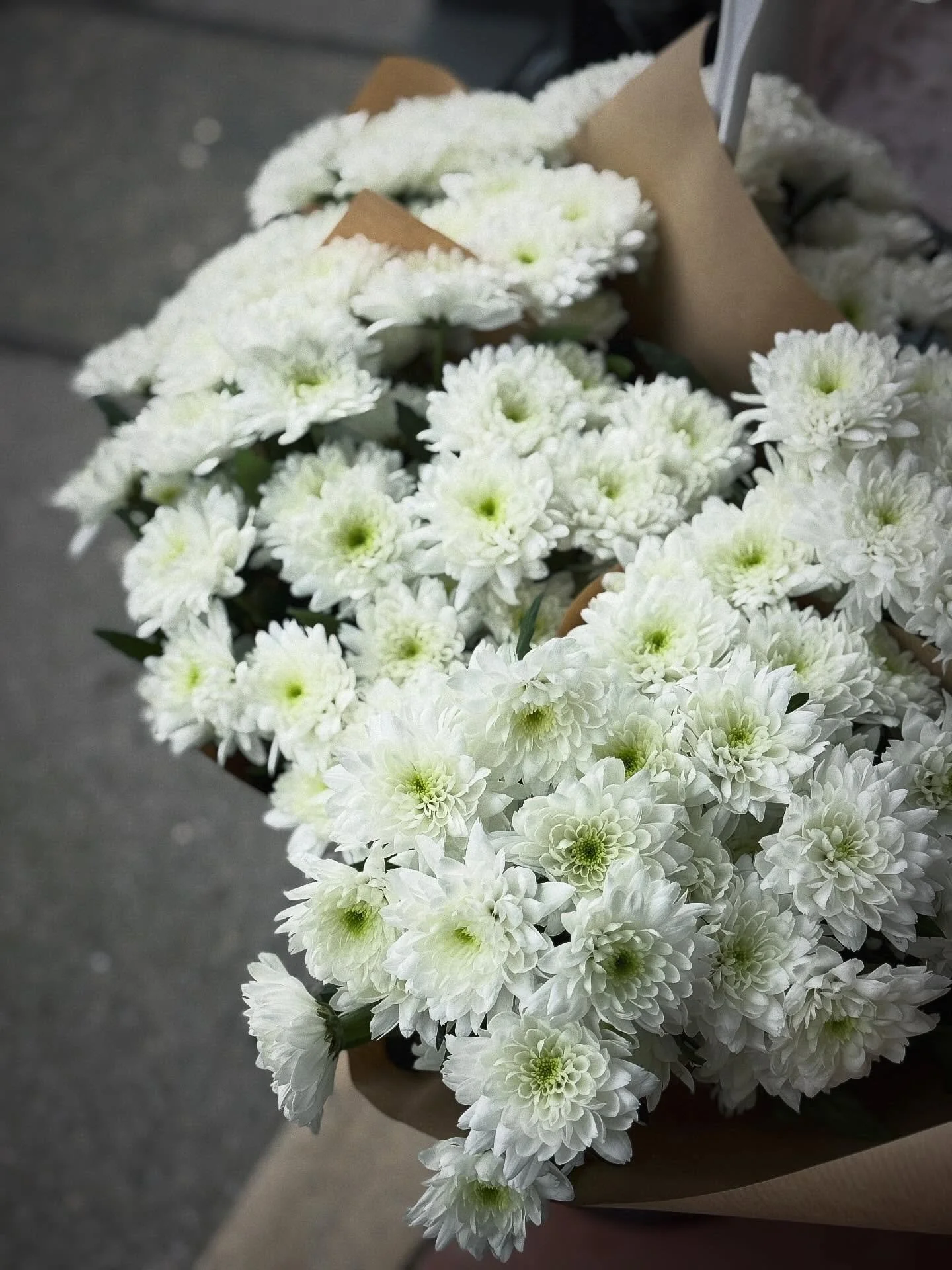 💥OOPS💥SPECIAL OFFER💥

Oops Jay ordered too many wraps of Chrysanthemums 🤣 so we have a special offer for you all 🙌 &pound;3.00 a wrap!