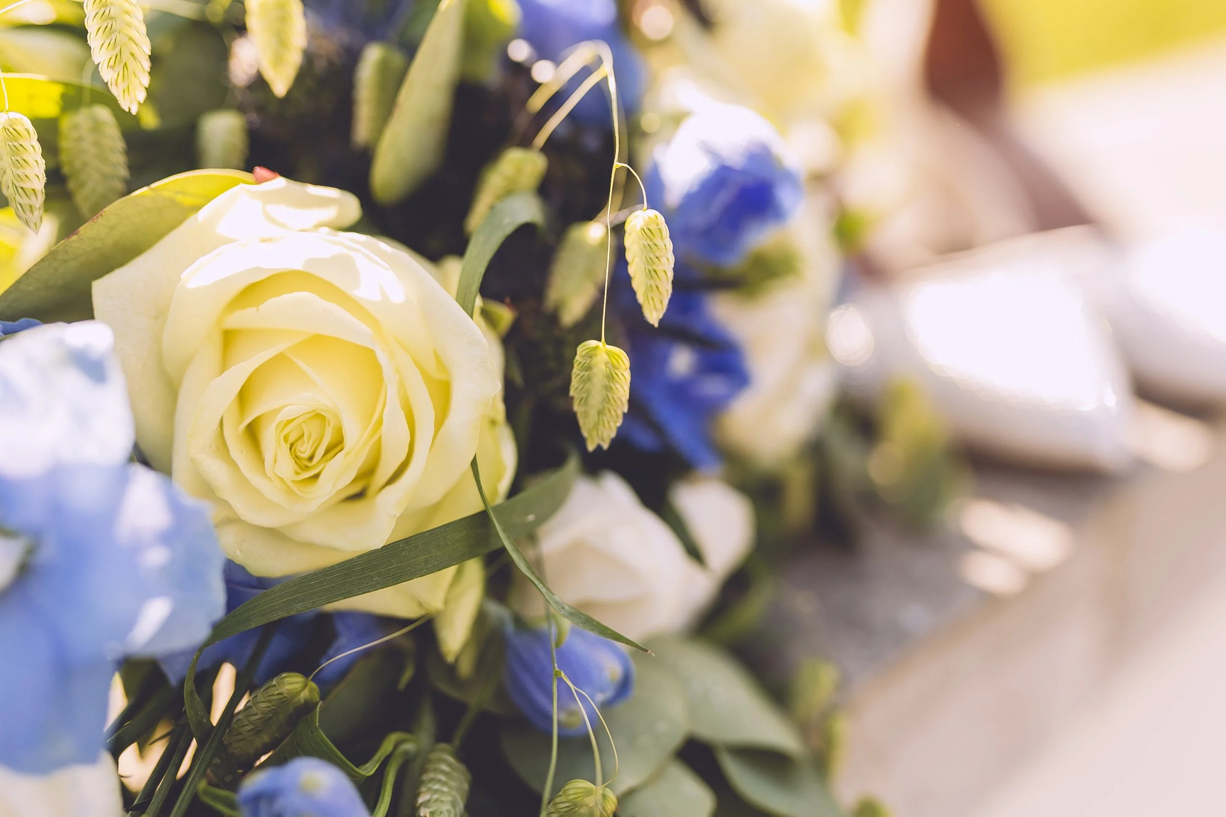 Dan Roads Photography 