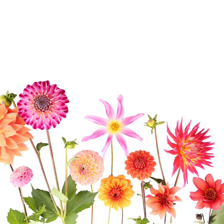 Floral Couture by Jay | Discover Beautiful Flowers — Order Today