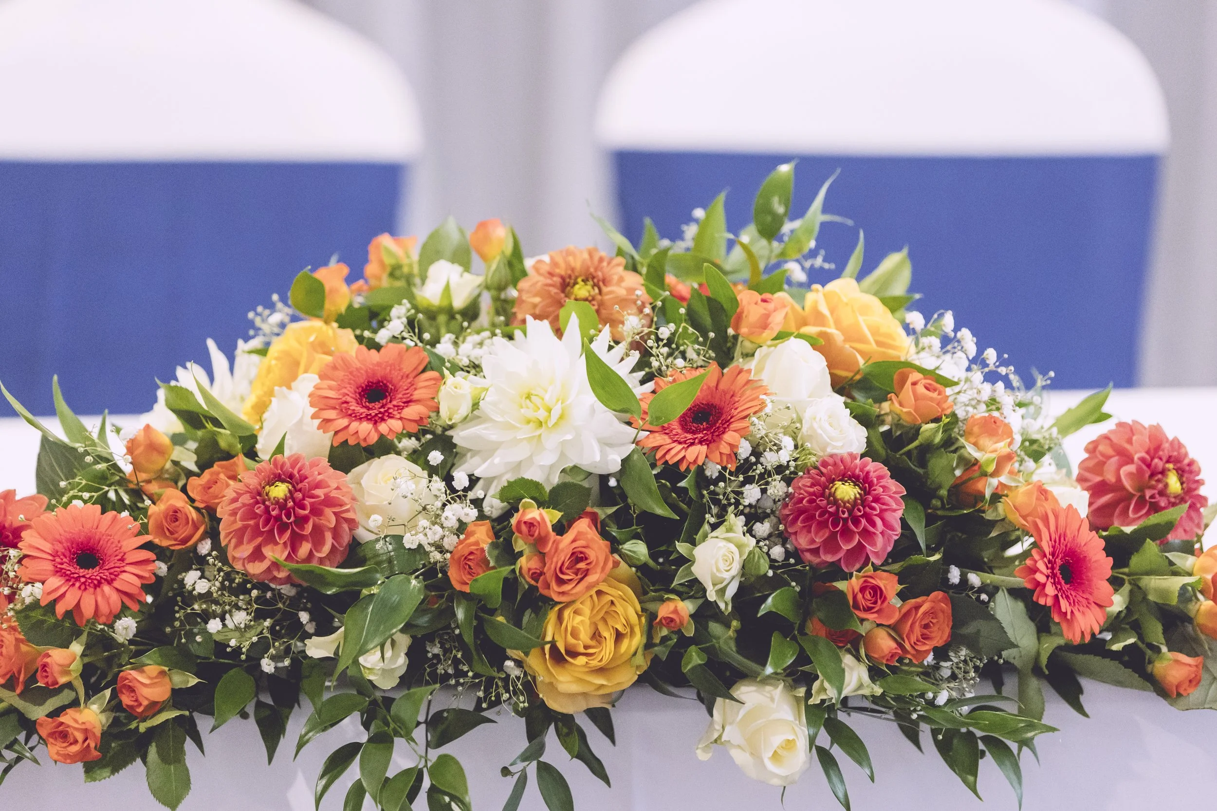 Dan Roads Photography 