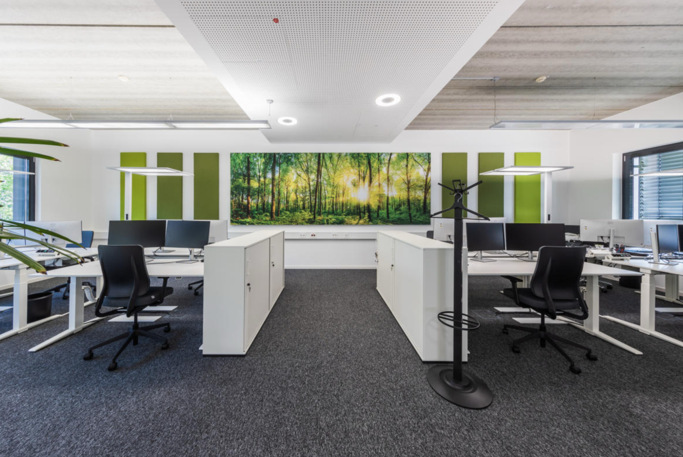 Bildschirmfoto 2026-03-01 um 20.33.52.png