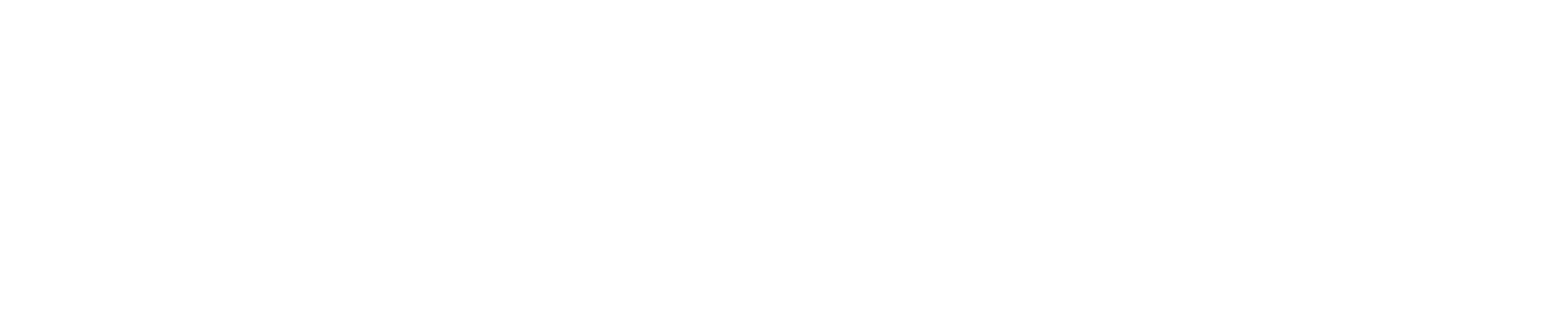 Anna Frank - Sen. Product Designer (UX/UI &amp; Visual Communication)