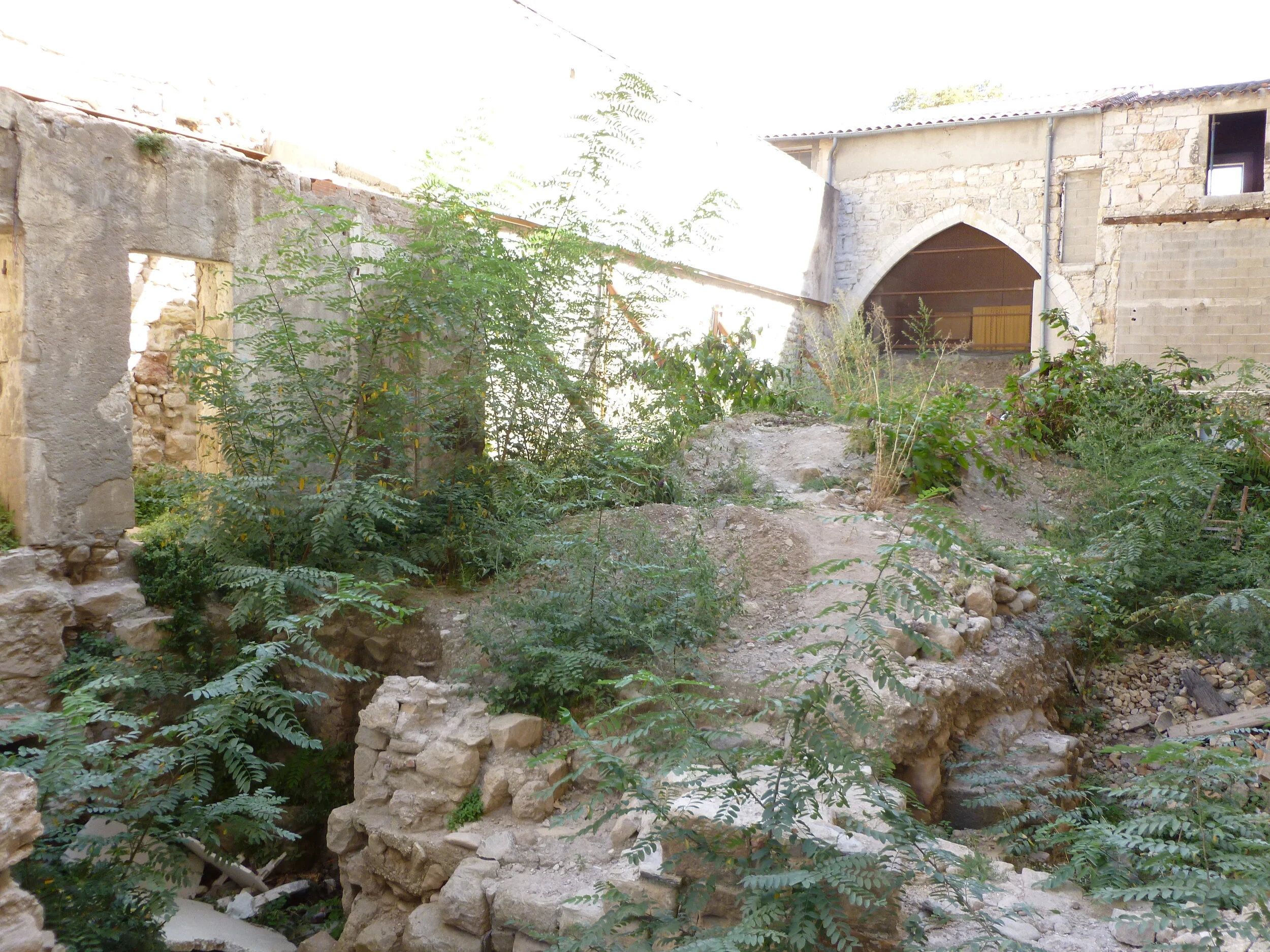 Vue sur jardin avant travaux