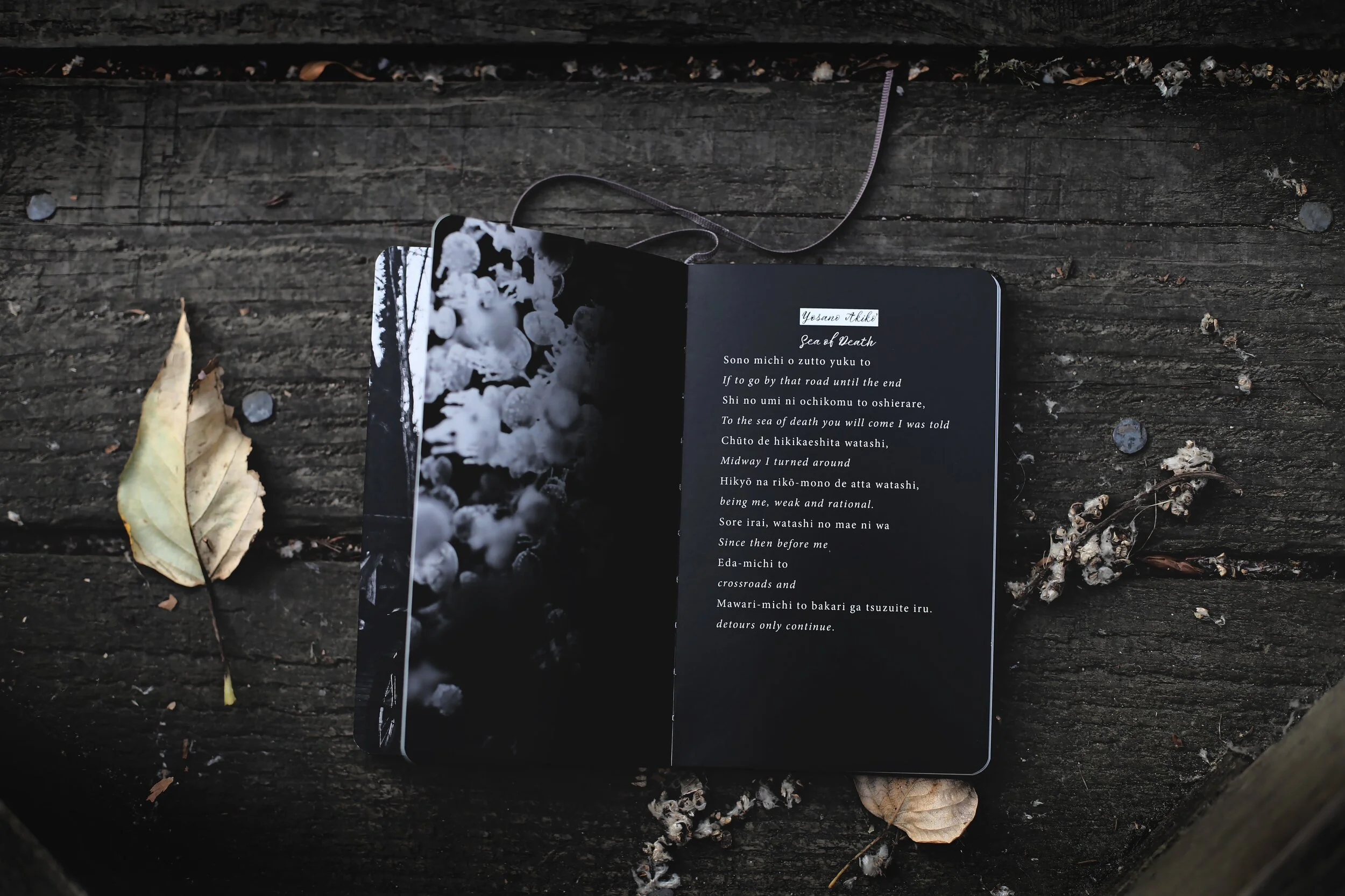 Let Me Count the Ways: Writing the List Poem