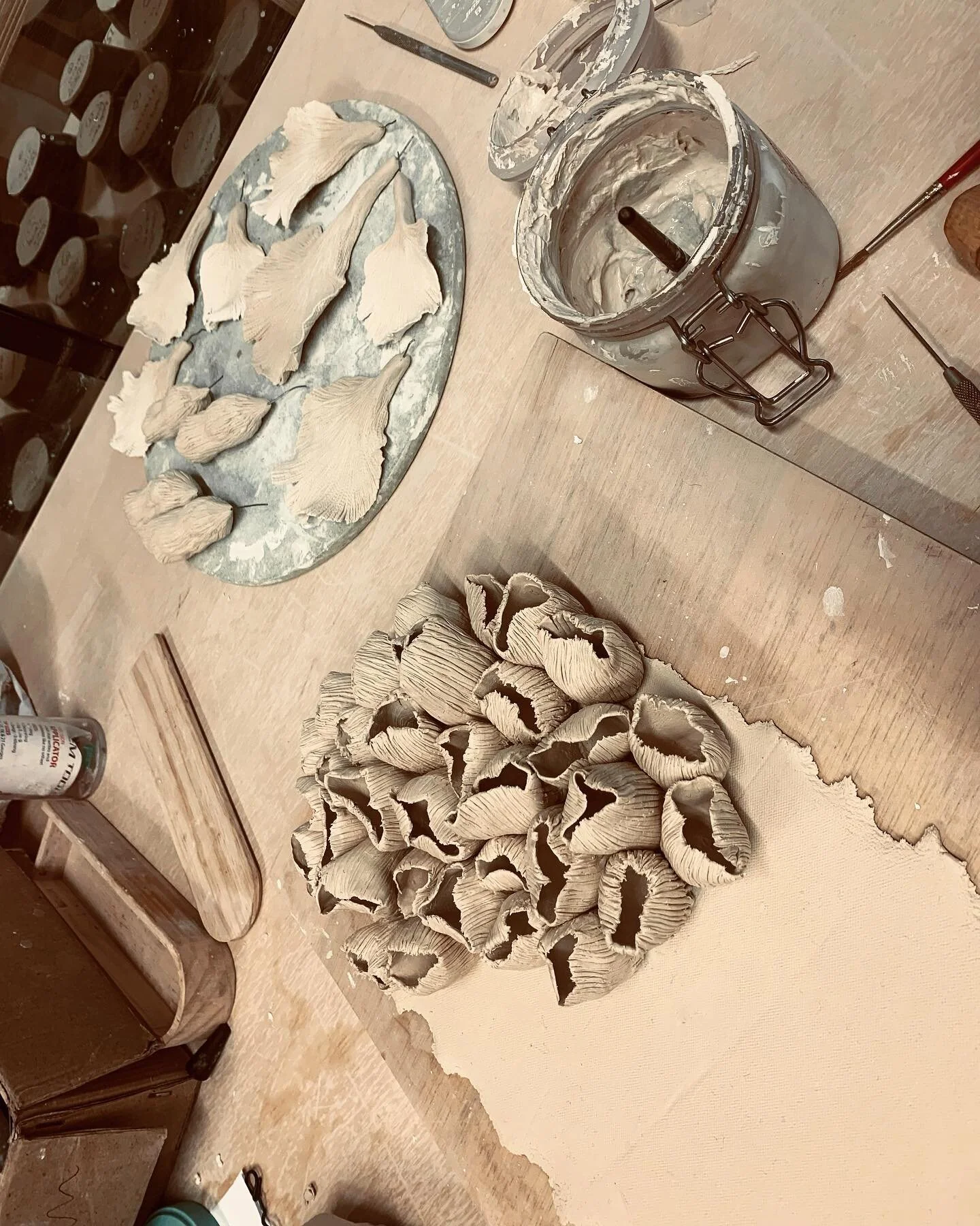 I find myself working on several of my bleached coral sculptures at once. I don&rsquo;t know why, it&rsquo;s just how my brain likes to work.

#rafaelapererastudio #bleachedcoralsculptures #paperporcelain #paperporcelaincoral