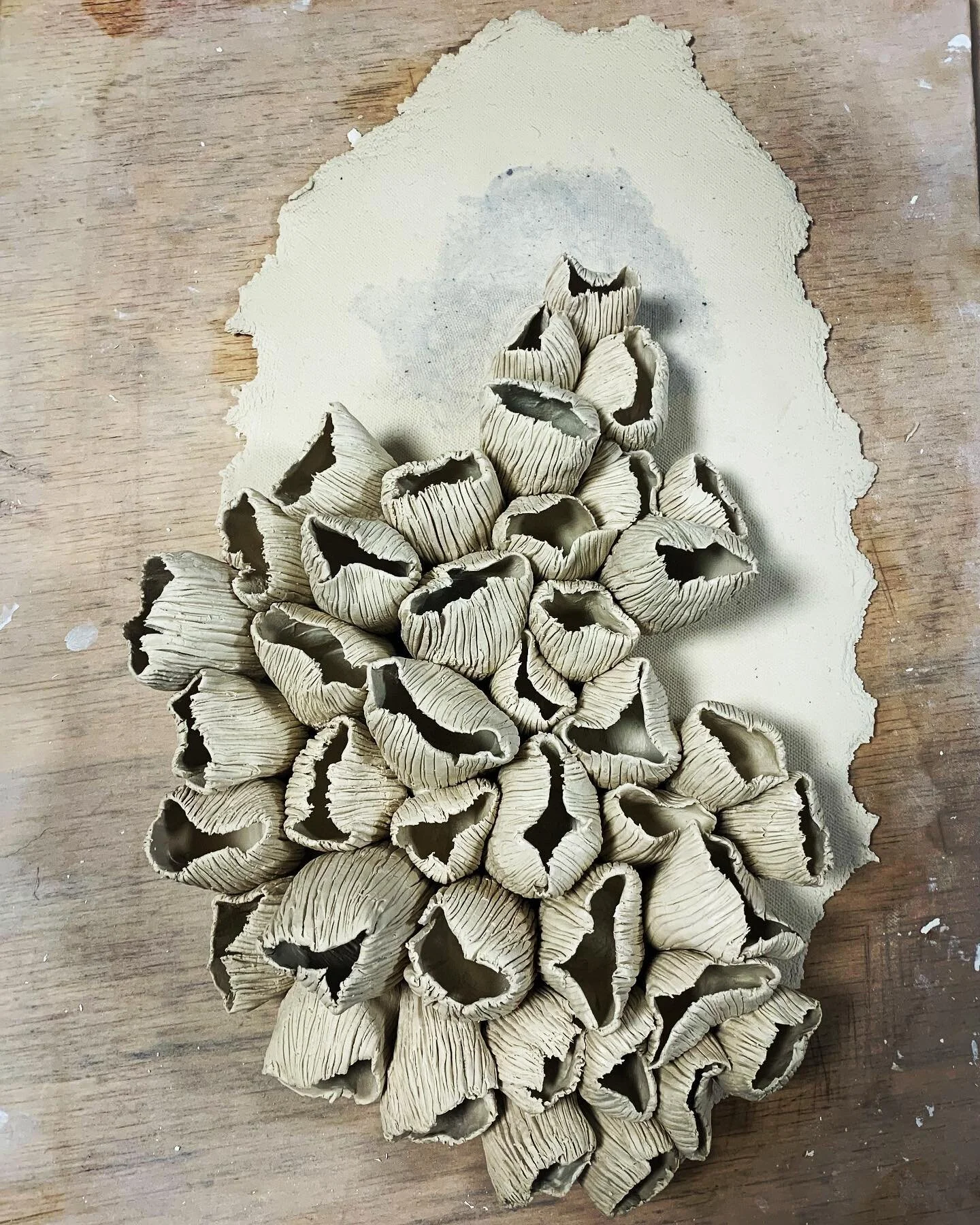 I&rsquo;m enjoying the negative space in this piece. 

#bleachedcoralsculpture #rafaelapererastudio #contemporaryceramics #porcelaincoral #paperporcelain #artformsoftheocean #coral #bleachedcoralsculpture