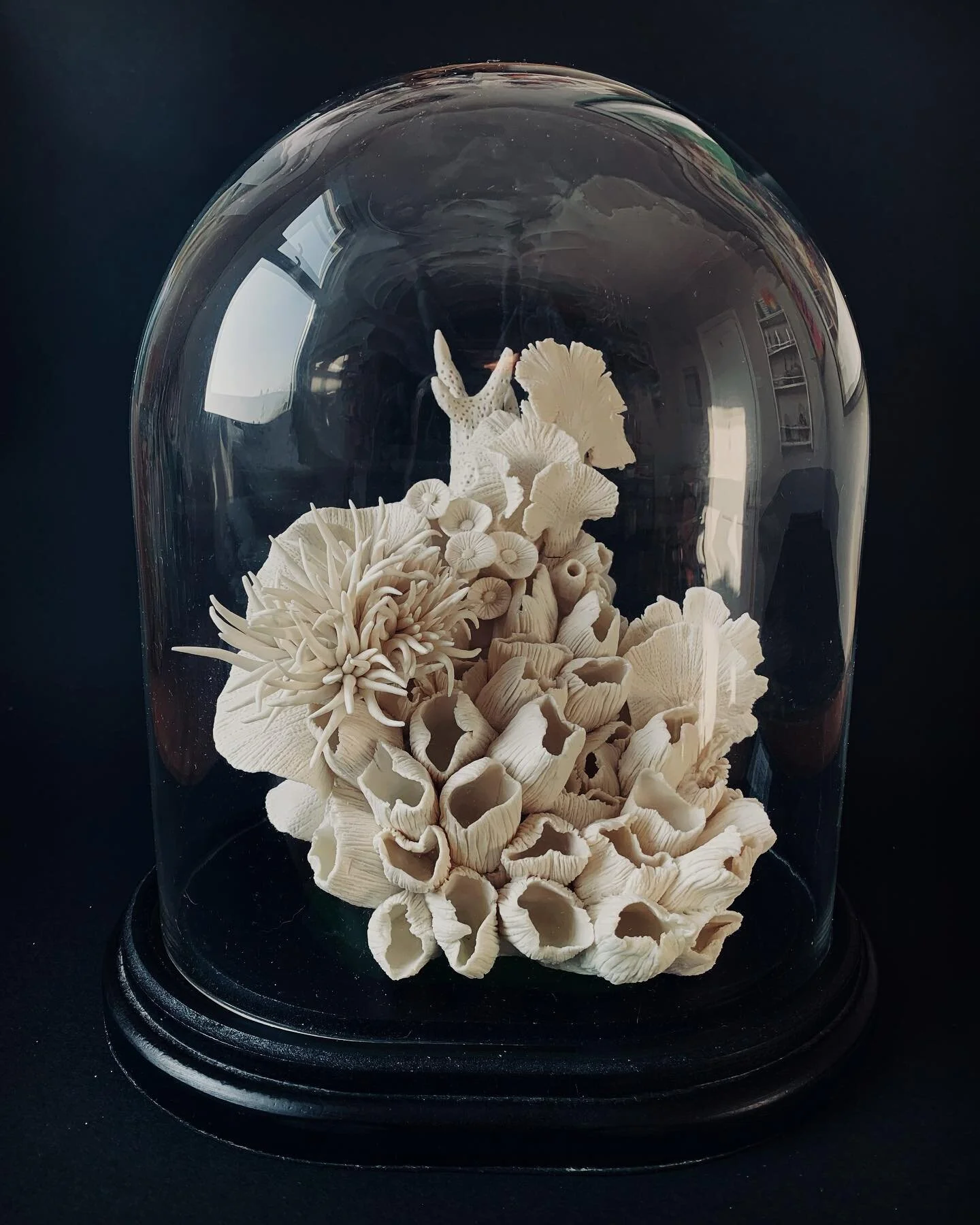 &lsquo;Naturaleza Muerta. Still Life.&rsquo;
Paper porcelain bleached coral sculpture. 
30cm x 25cm 

I began making my bleached coral sculptures several years ago after my Dad passed away. At the time, I was also grappling with a high level of eco a