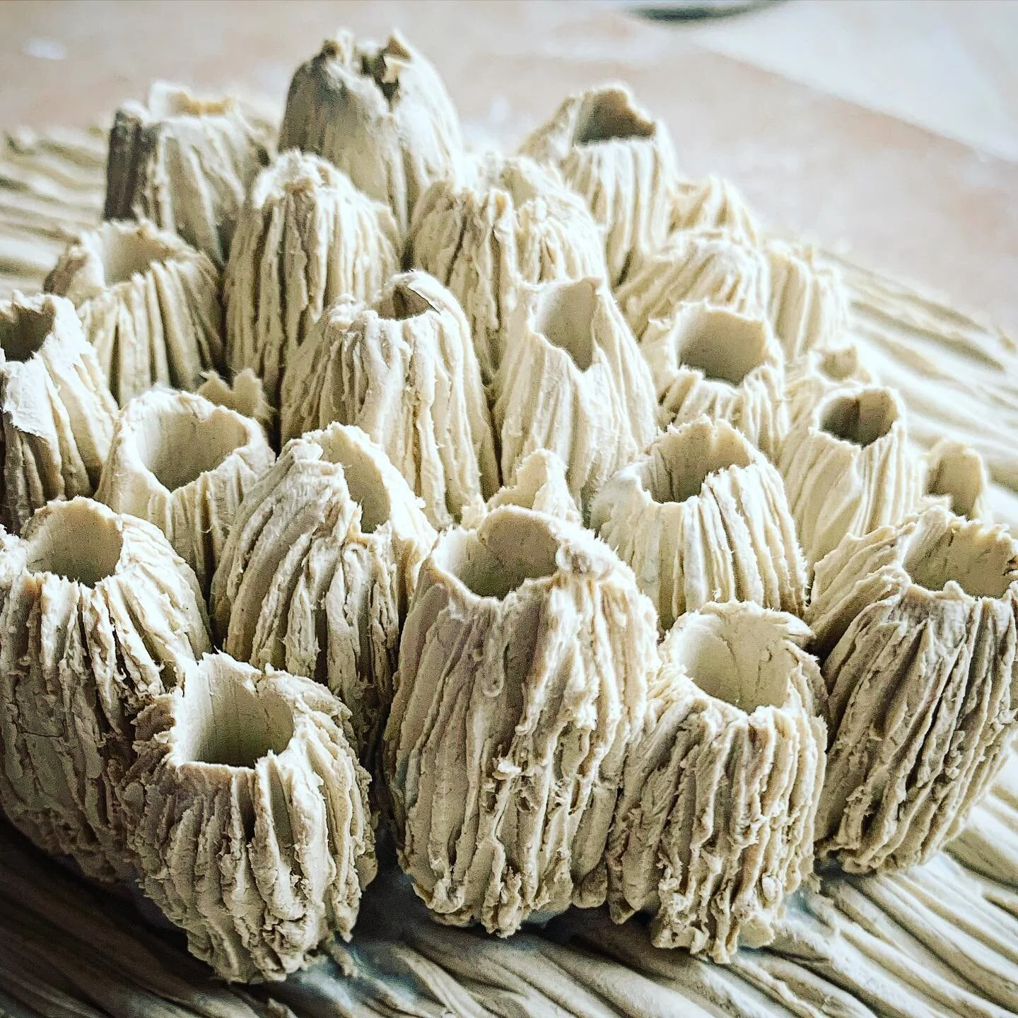 What is this obsession of mine? 

#barnaclebabe #rafaelapererastudio #emergingceramicartist #paperporcelain #bleachedcoralsculptures