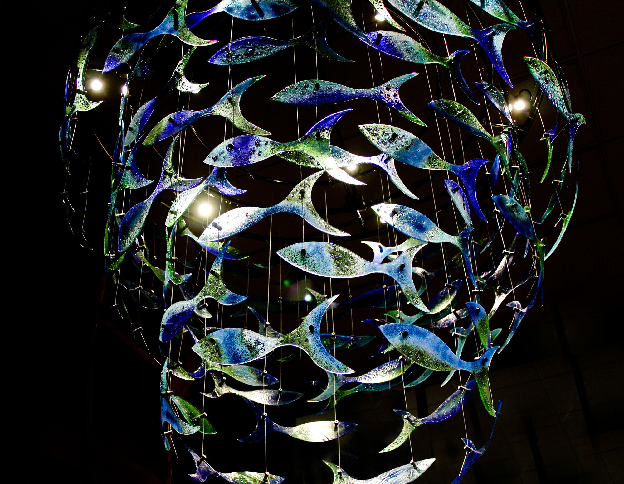 Shoaling Fish Organ Donation Sculpture Bangor Hospital