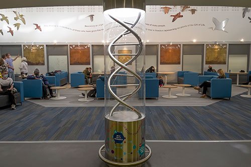 Spiralling DNA Helix