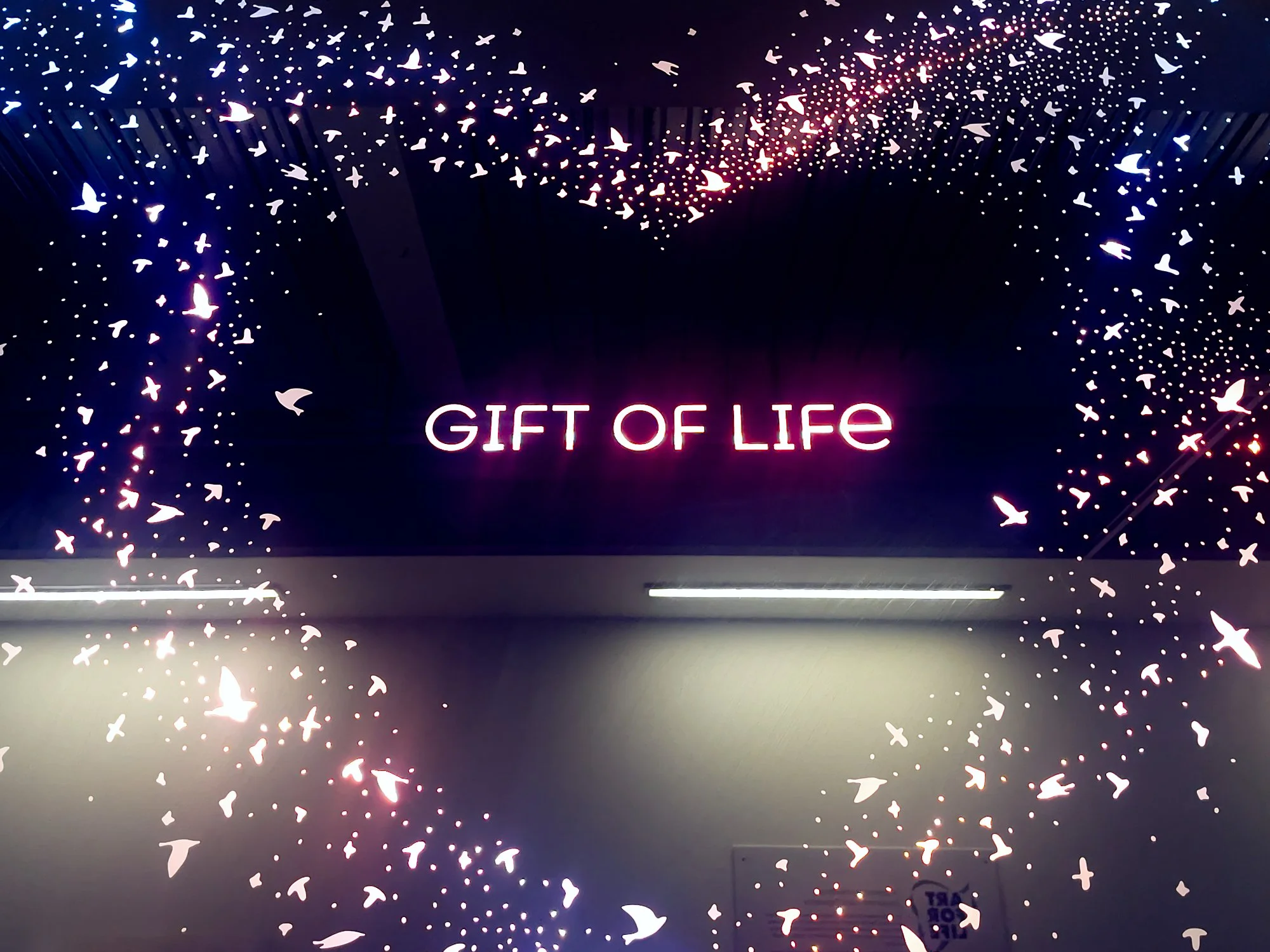 Close-up of central panel showing heart shape formed by starlings and “gift of life” text in illuminated organ donation artwork