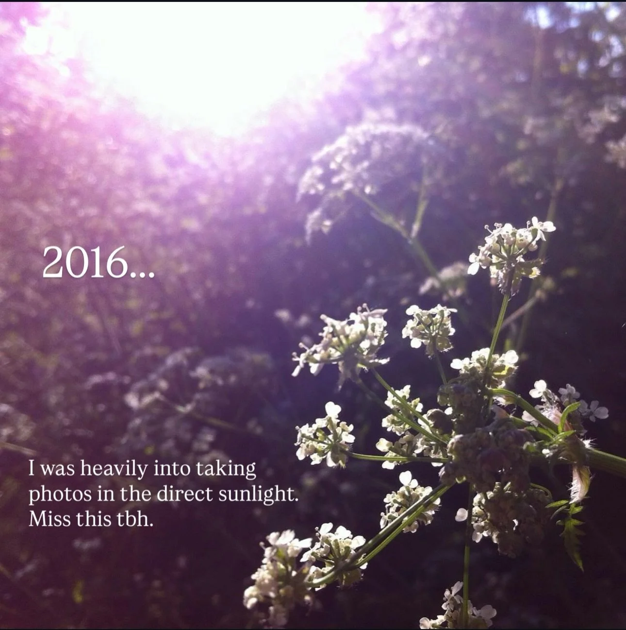 At first I couldn&rsquo;t remember anything exceptional happening in 2016, so I was glad for a reason to delve into my insta archive!

It was definitely a year of change. It was the year I turned 30, I went through 3 different roles in a year and end