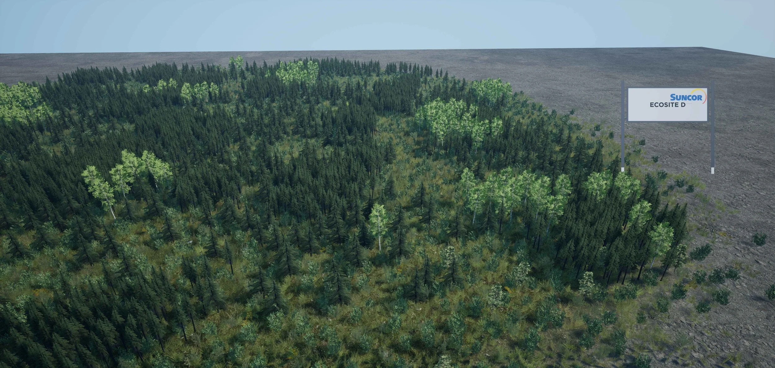 Procedural Forest Ecosites