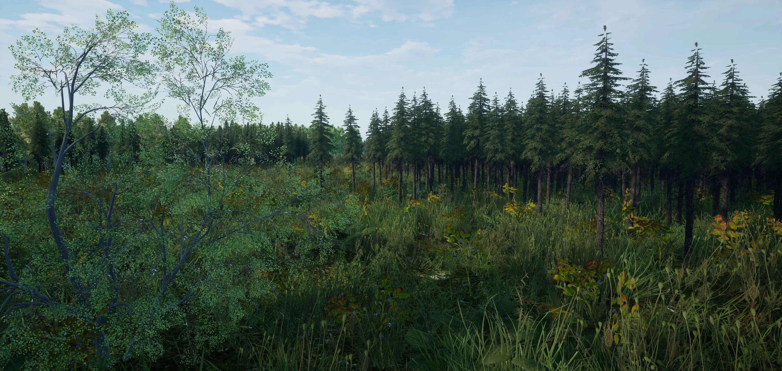 Procedural Forests Sample