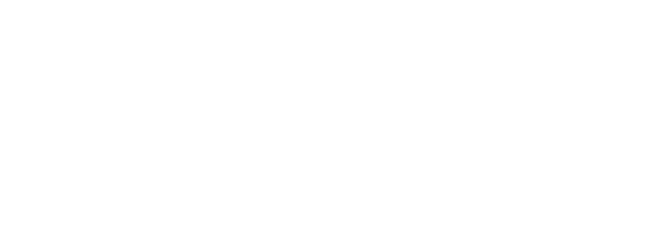 logo_Noka.png