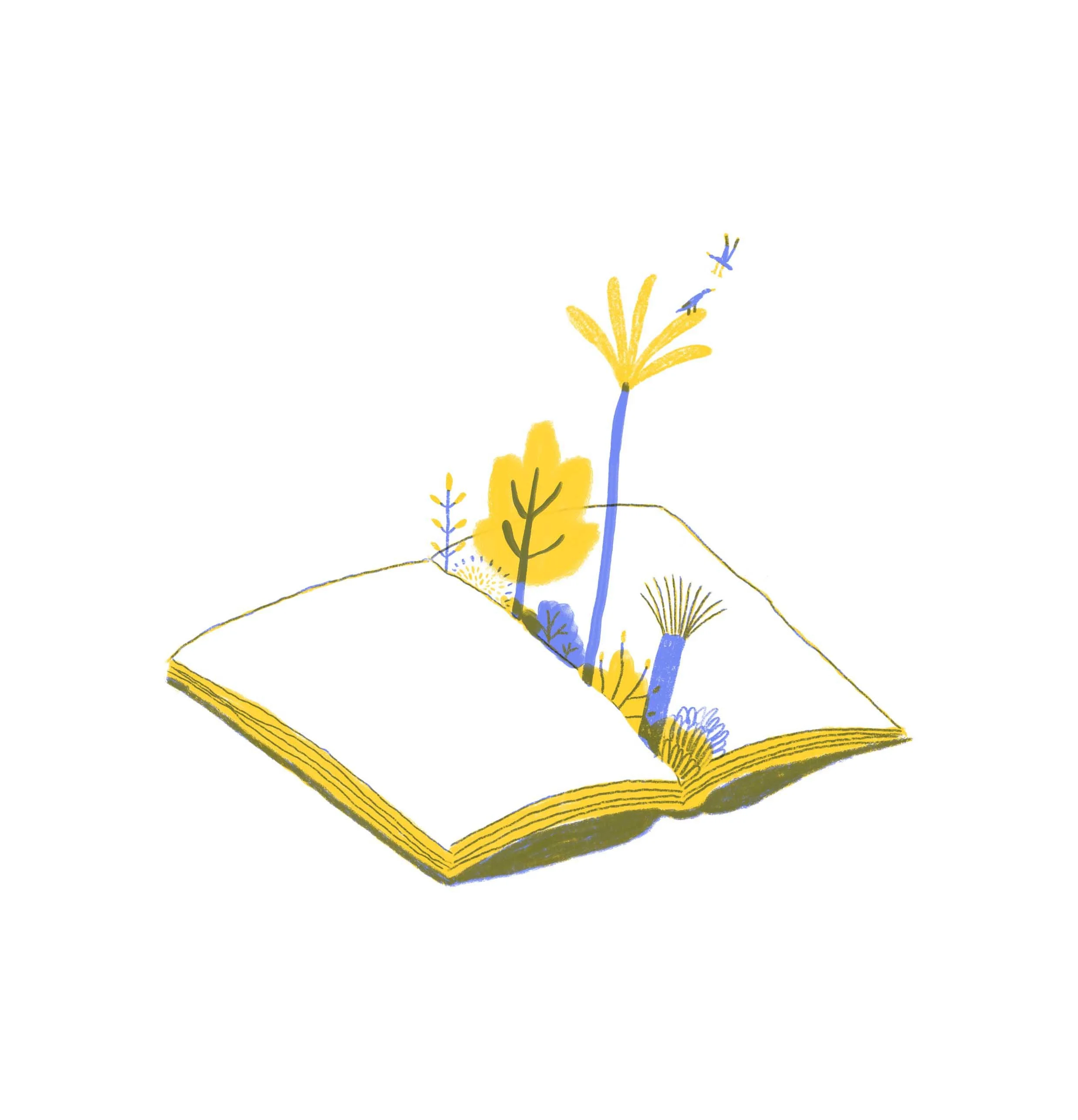 Learning sustainable agriculture.jpg