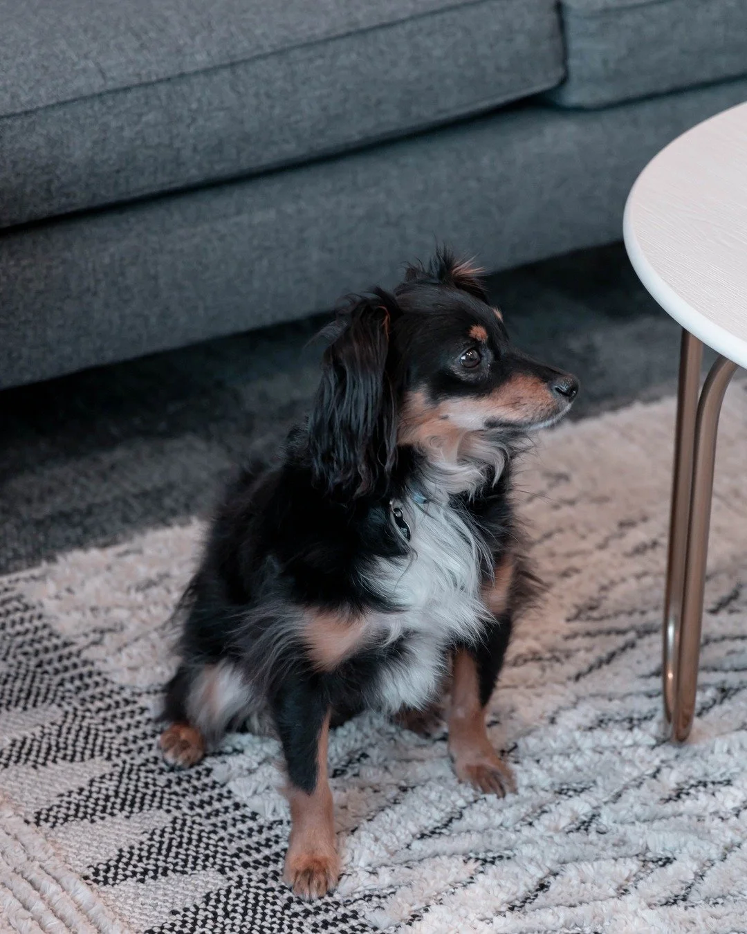 Happy International Dog Day! 

Our dogs do so much more than give us someone to play catch with, they&rsquo;re powerful boosters for our mental health.

Here&rsquo;s how our four-legged friends help us thrive:

🐾Lower stress &amp; anxiety &ndash; Pe