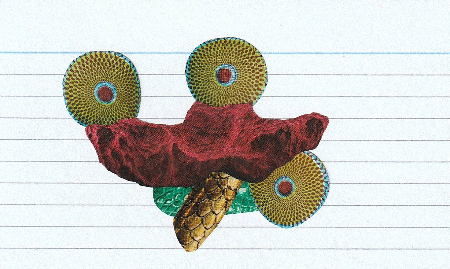 12.5cm x 7.5cm

January 2026.